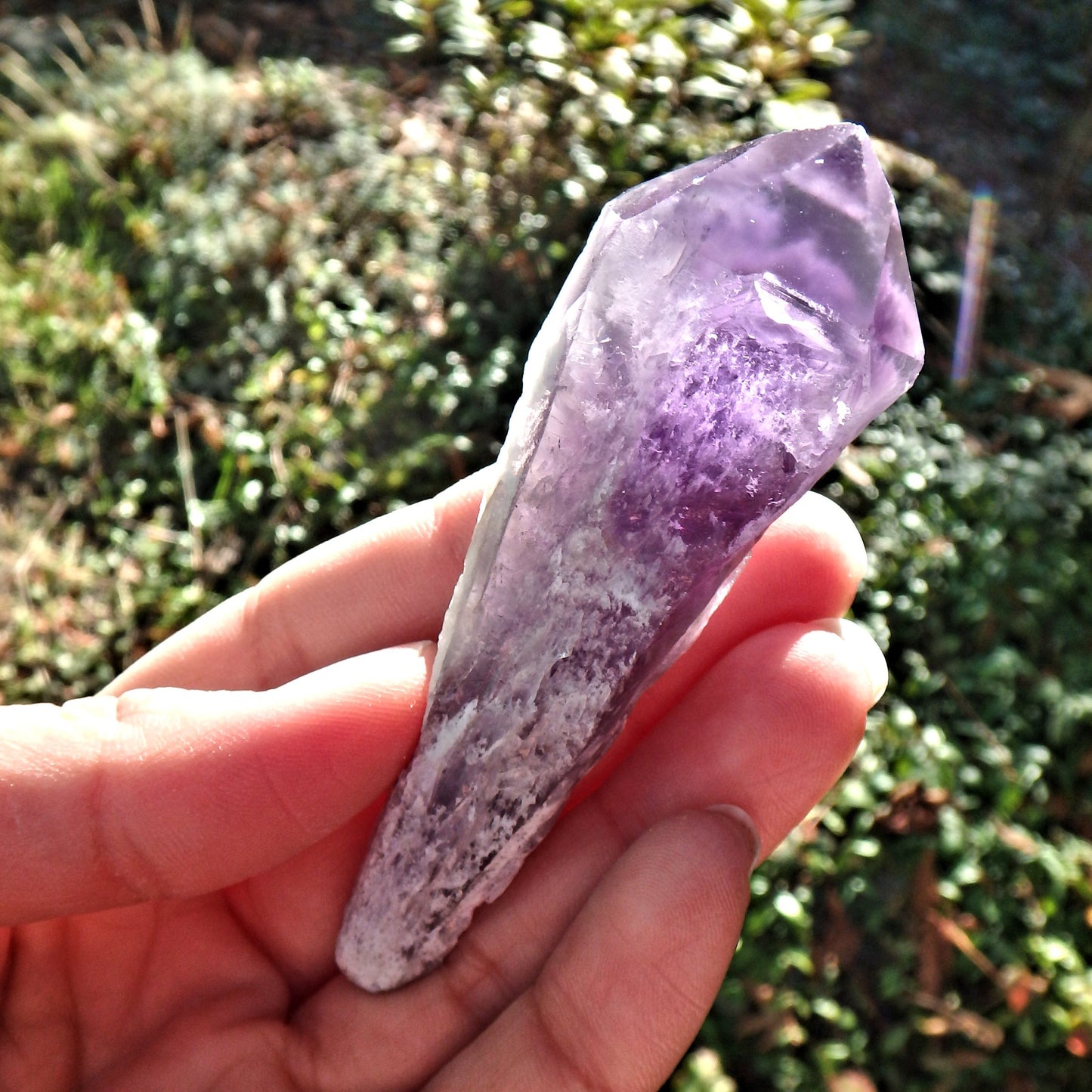 New Find~Gorgeous Amethyst Elestial Phantom Quartz Point From Bahia, Brazil 1 - Earth Family Crystals