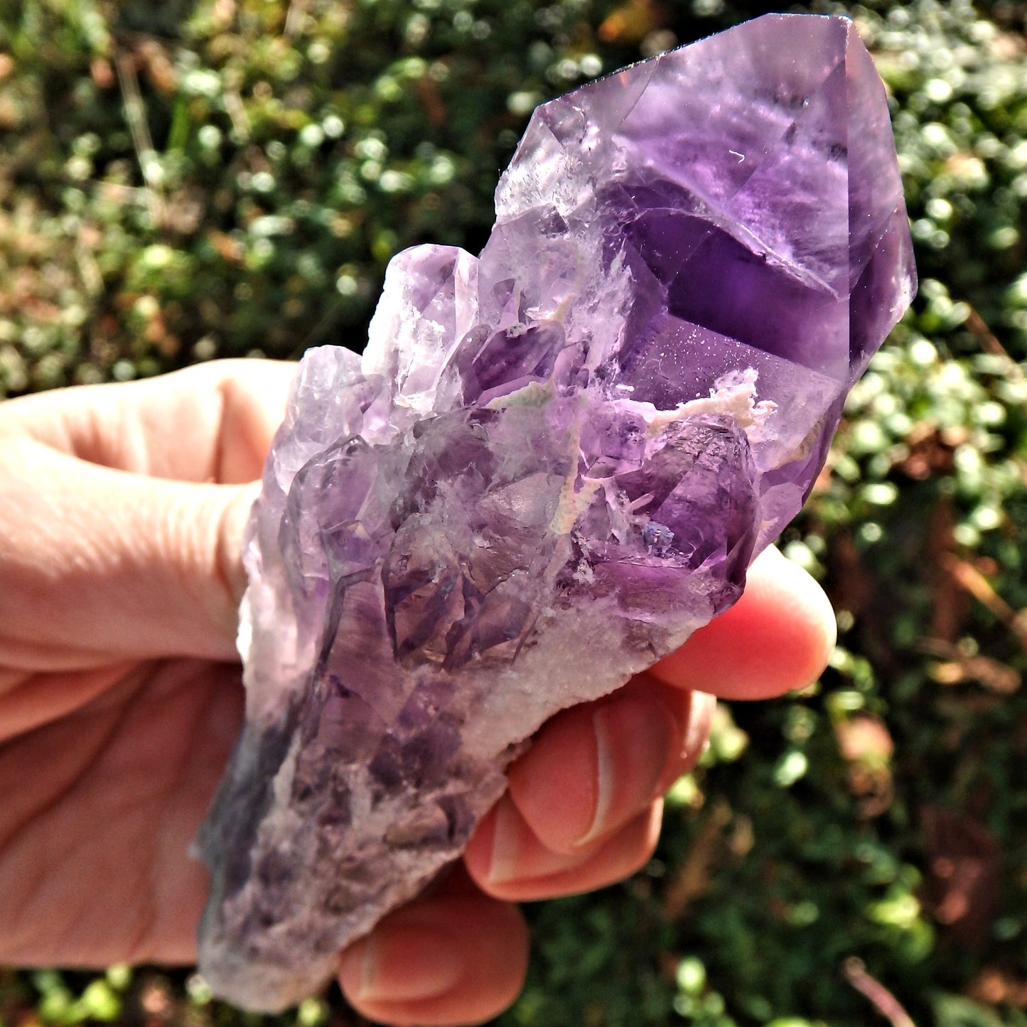 New Find~Long & Exquisite Large Amethyst Elestial Phantom Quartz Point From Bahia, Brazil 3 - Earth Family Crystals
