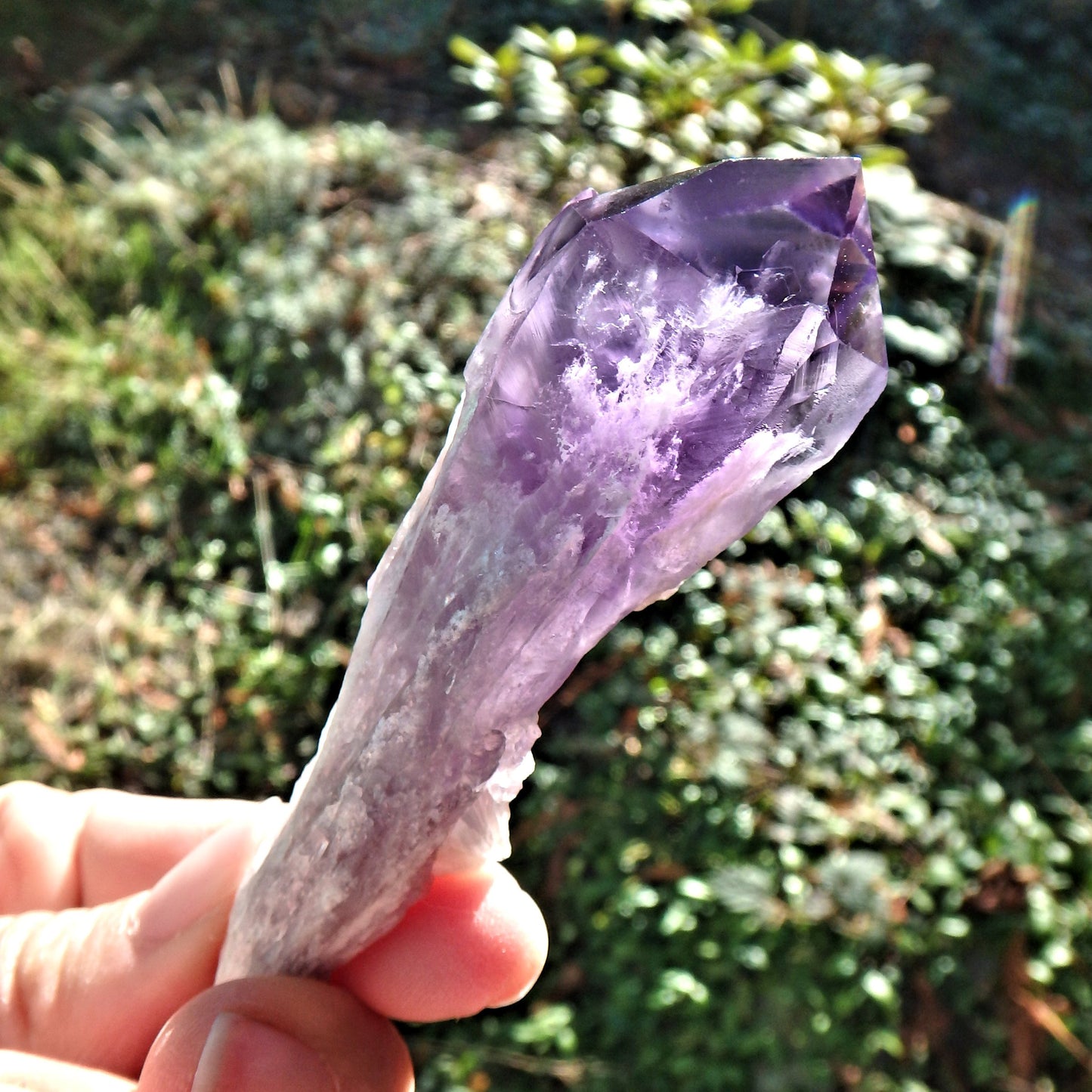 New Find~Gorgeous Amethyst Elestial Phantom Quartz Point From Bahia, Brazil 3 - Earth Family Crystals