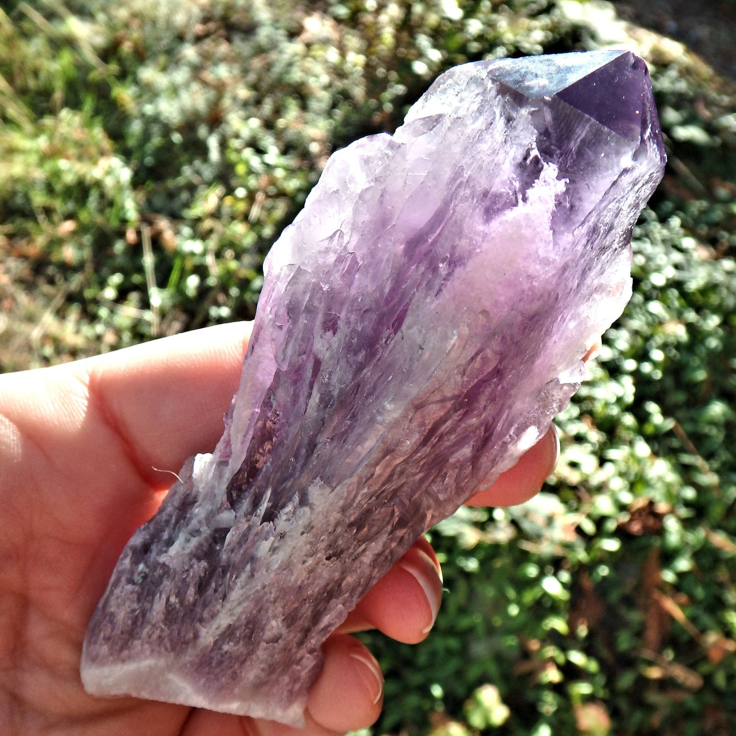 New Find~Stunning Large Amethyst Elestial Phantom Quartz Point From Bahia, Brazil 1 - Earth Family Crystals