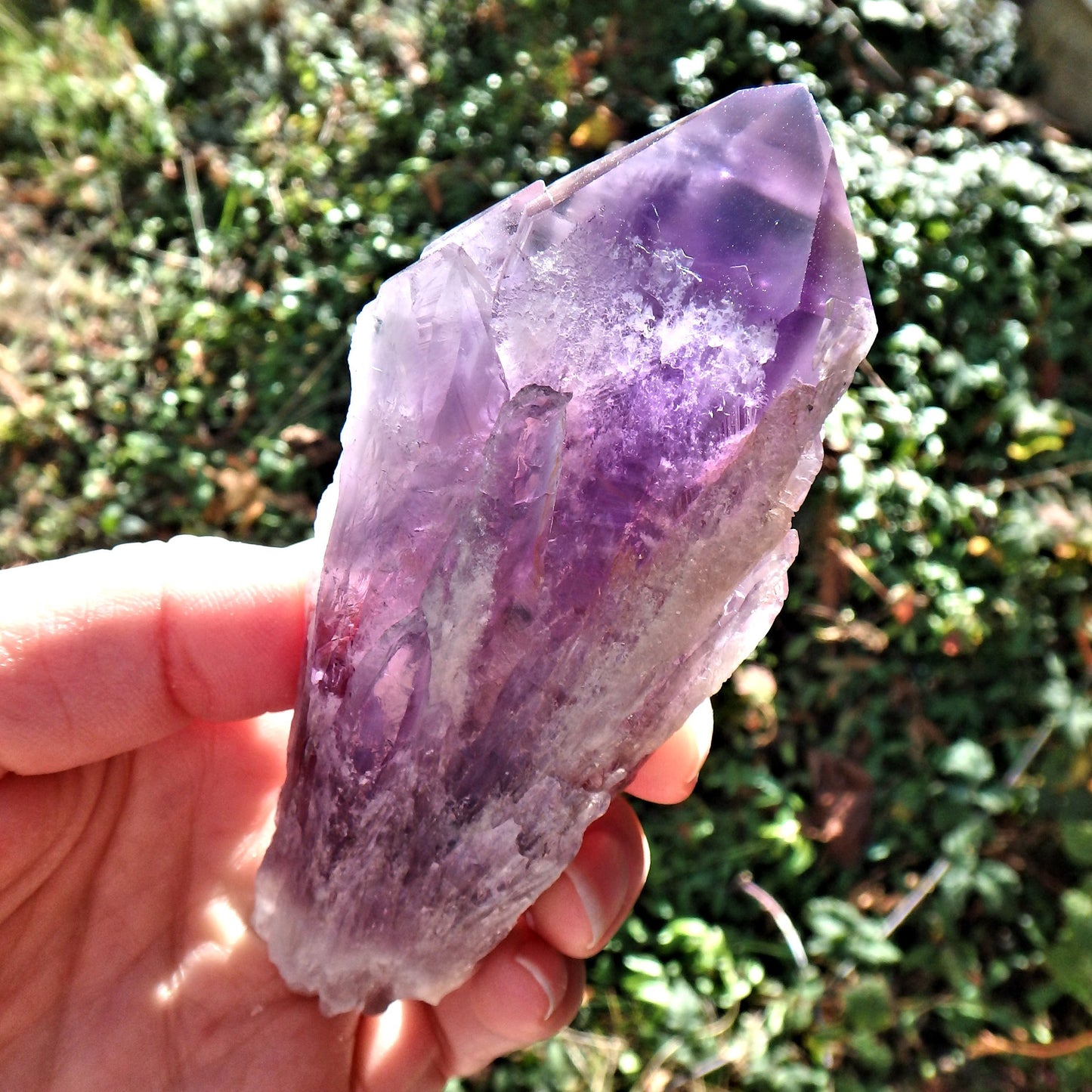 New Find~Long & Exquisite Large Amethyst Elestial Phantom Quartz Point From Bahia, Brazil 2 - Earth Family Crystals