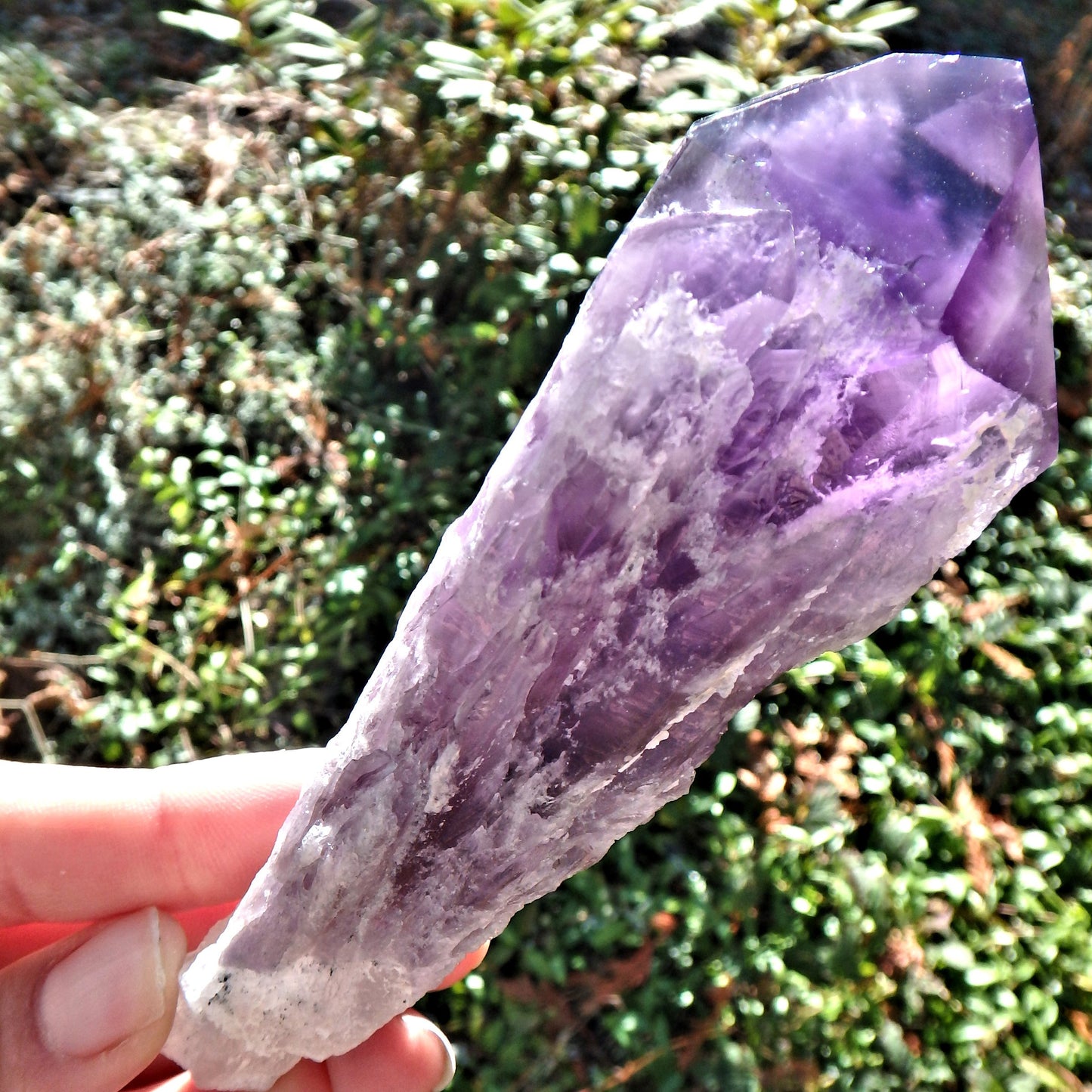 New Find~Long & Exquisite Large Amethyst Elestial Phantom Quartz Point From Bahia, Brazil 1 - Earth Family Crystals