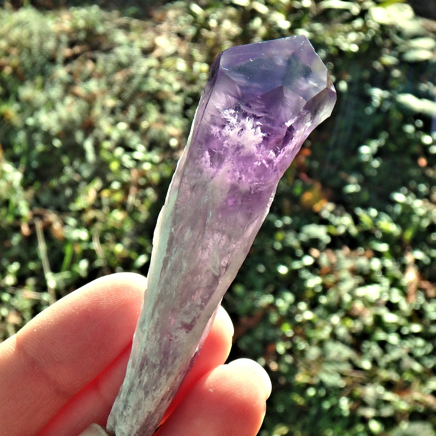 New Find~Gorgeous Amethyst Elestial Phantom Quartz Point From Bahia, Brazil 5 - Earth Family Crystals