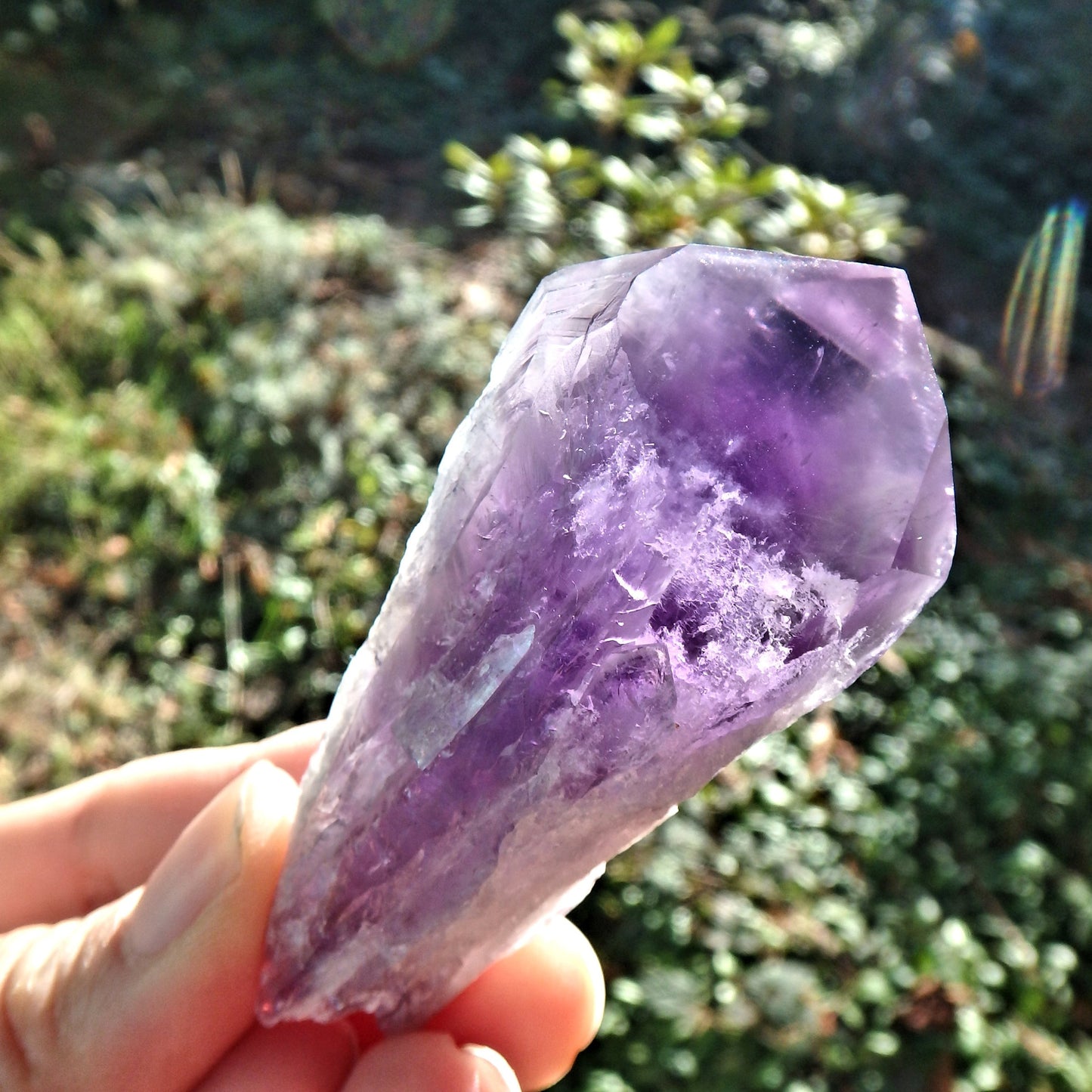 New Find~Gorgeous Amethyst Elestial Phantom Quartz Point From Bahia, Brazil 4 - Earth Family Crystals