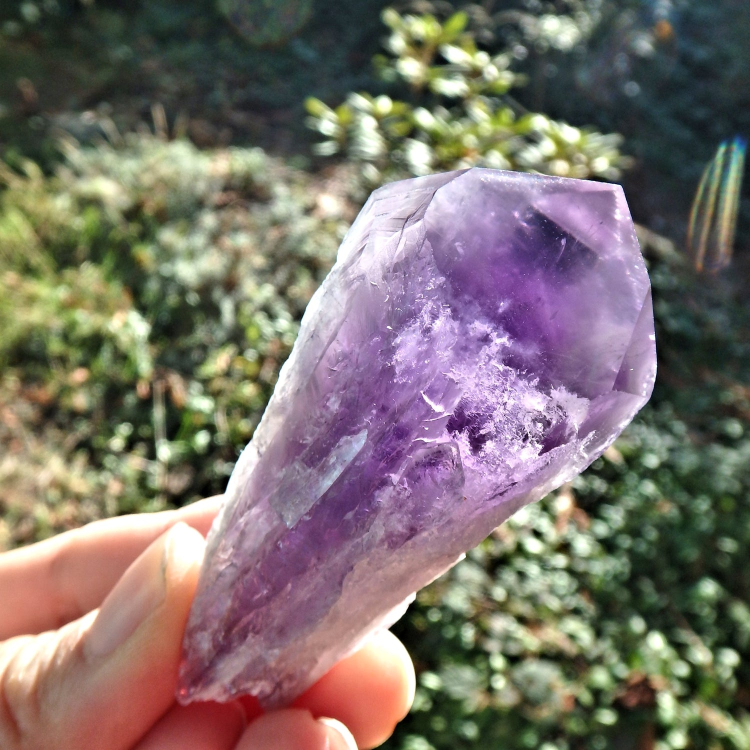 New Find~Gorgeous Amethyst Elestial Phantom Quartz Point From Bahia, Brazil 4 - Earth Family Crystals