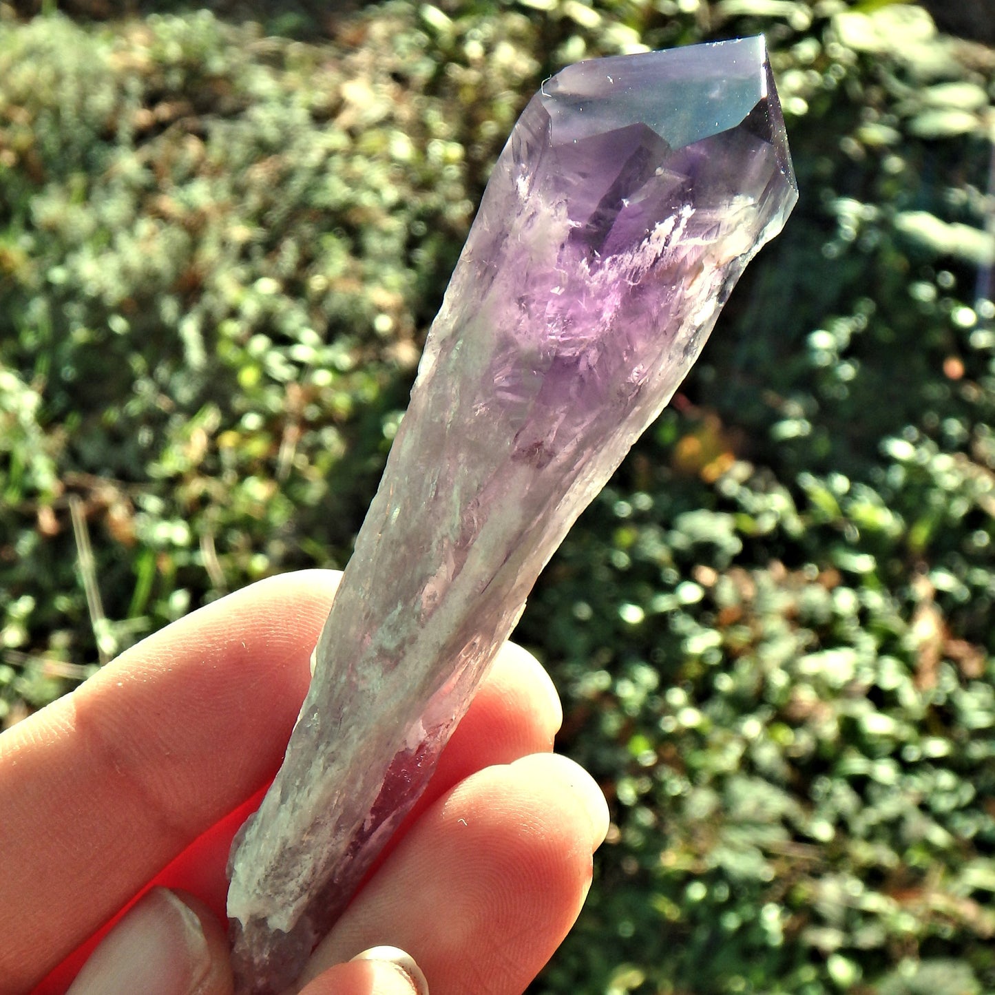 New Find~Gorgeous Amethyst Elestial Phantom Quartz Point From Bahia, Brazil 5 - Earth Family Crystals