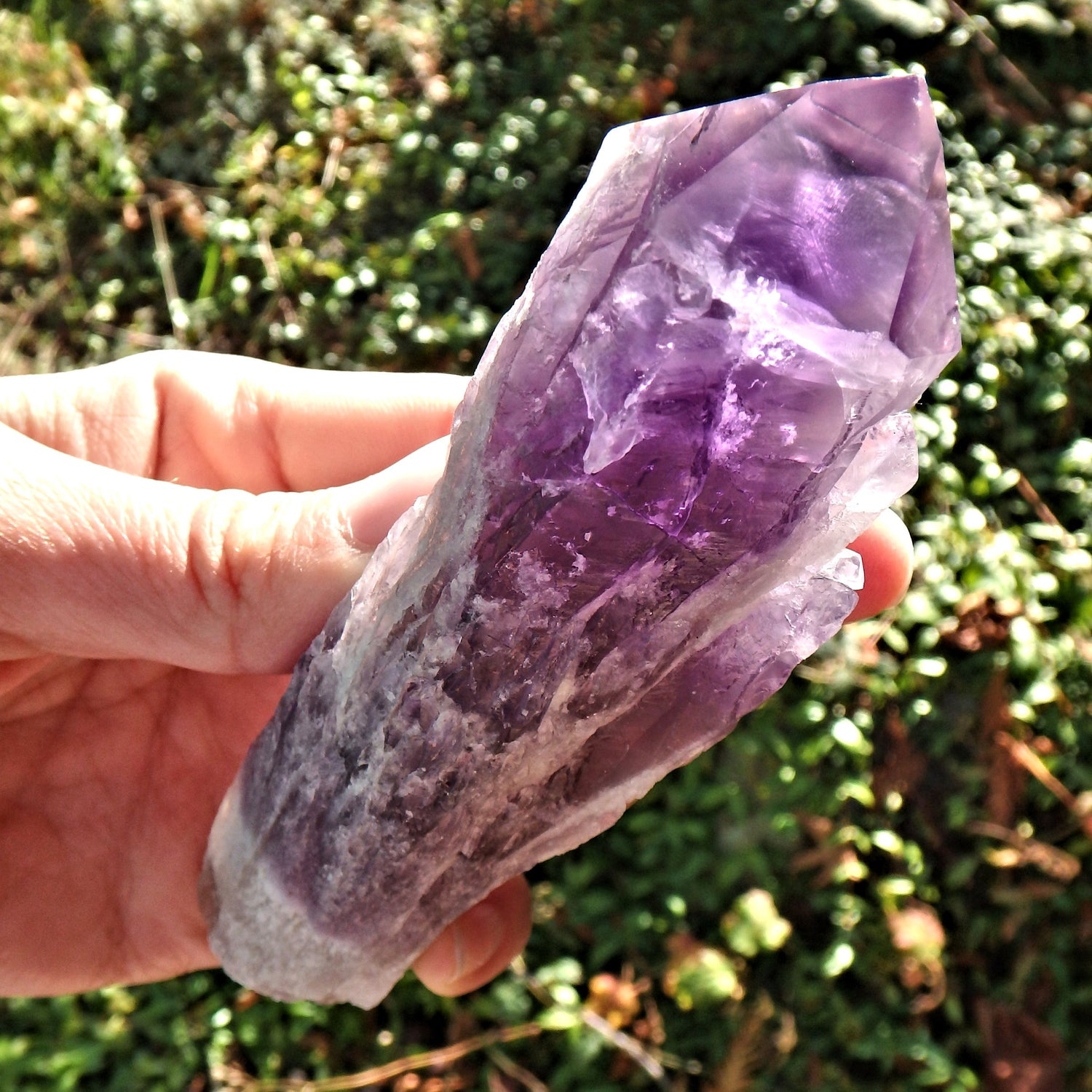 New Find~Long & Exquisite Large Amethyst Elestial Phantom Quartz Point From Bahia, Brazil 3 - Earth Family Crystals