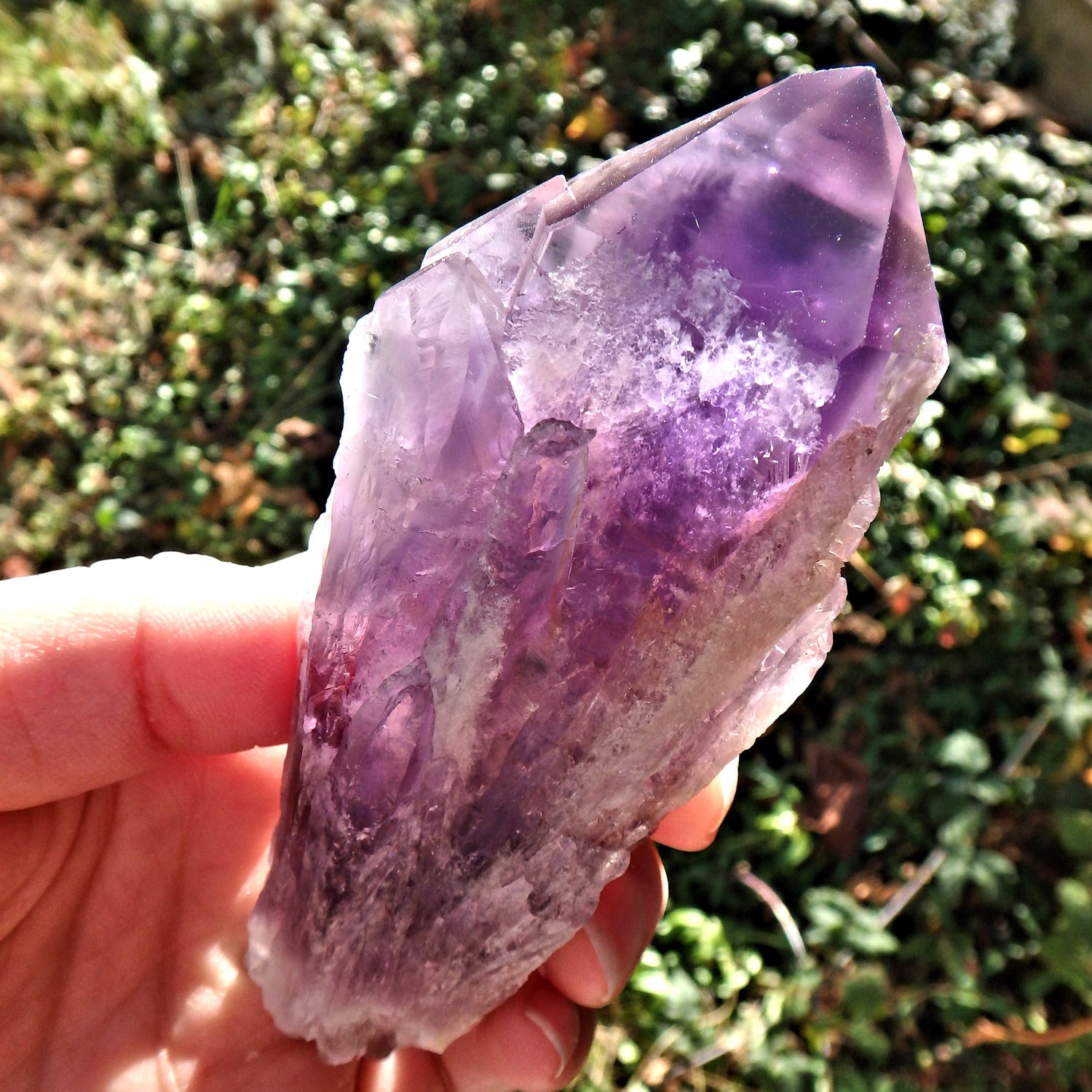 New Find~Long & Exquisite Large Amethyst Elestial Phantom Quartz Point From Bahia, Brazil 2 - Earth Family Crystals