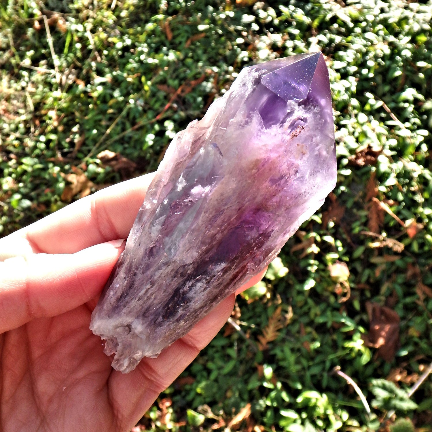 New Find~Long & Exquisite Large Amethyst Elestial Phantom Quartz Point From Bahia, Brazil 2 - Earth Family Crystals