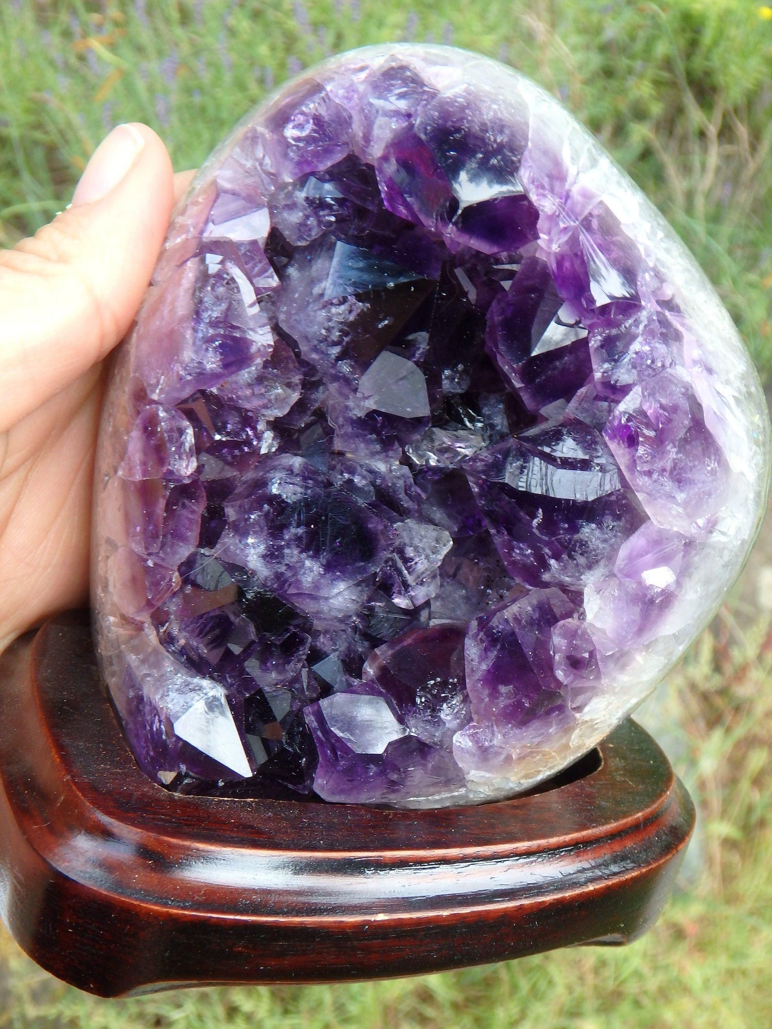  AA Grade Deep Purple Amethyst Free Form Specimen on Removable Wood Display Stand From Uruguay