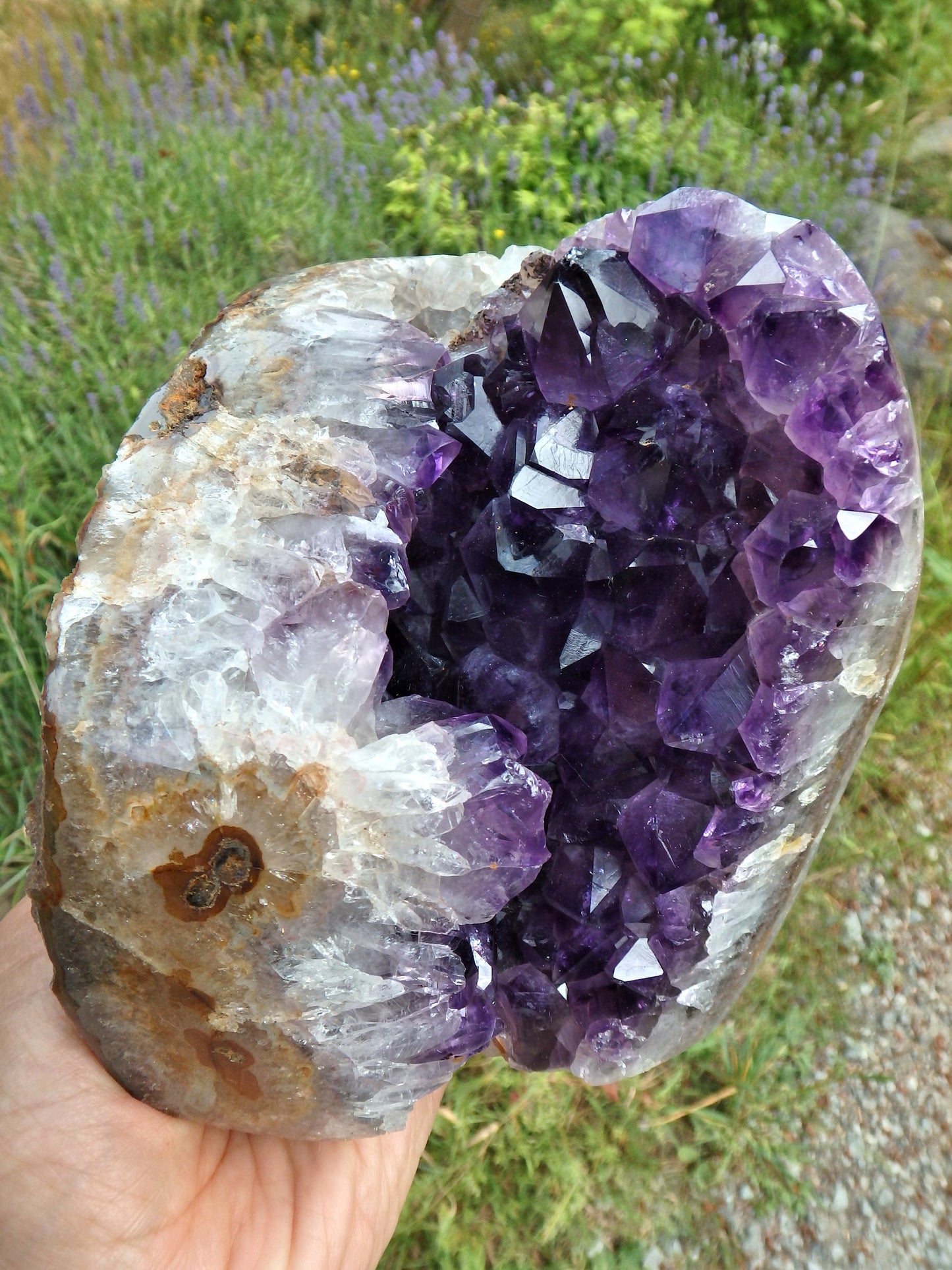Incredible XL Deep Purple Amethyst Geode Display Specimen From Uruguay - Metiz Tier Price