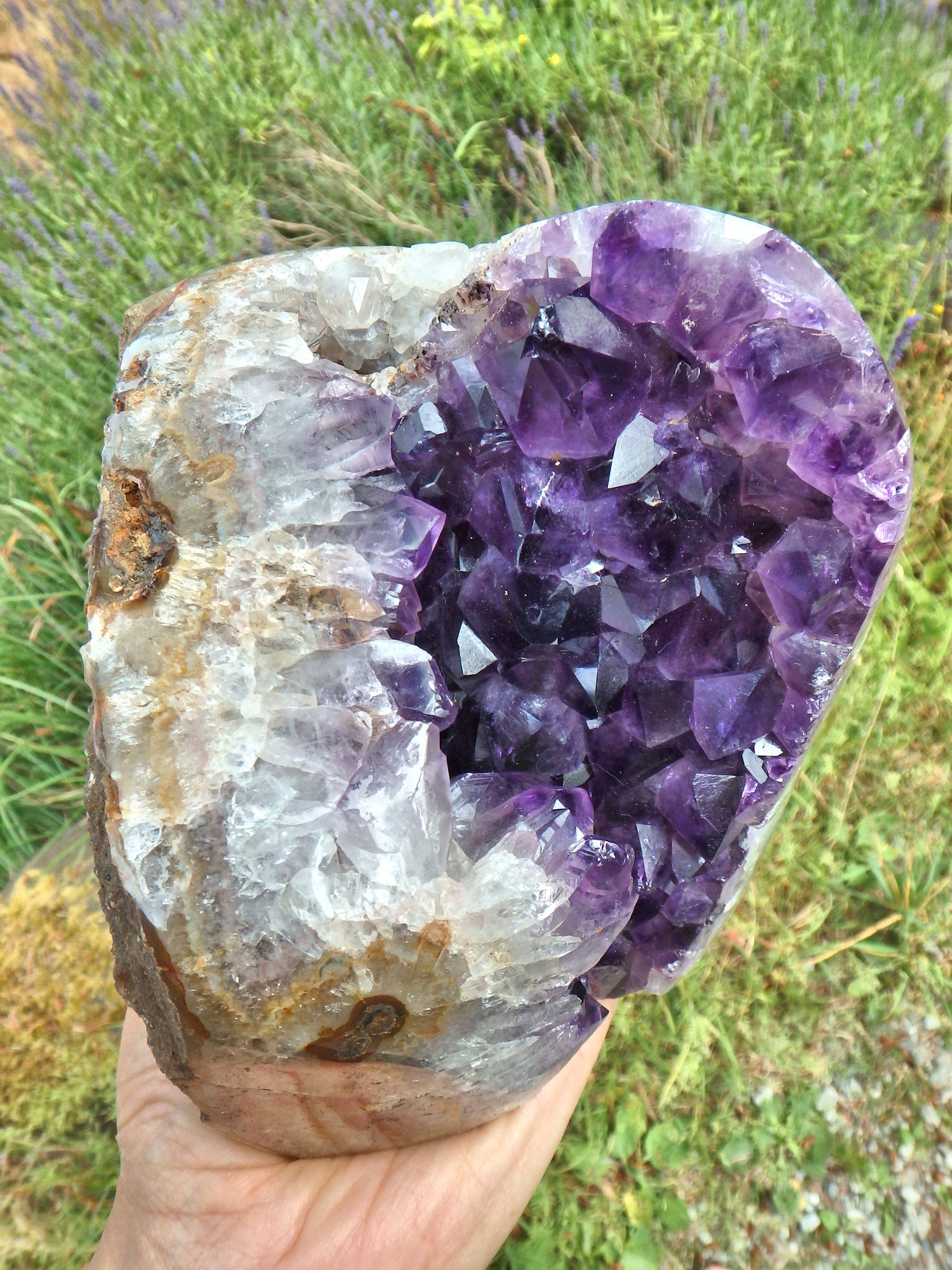 Incredible XL Deep Purple Amethyst Geode Display Specimen From Uruguay - Metiz Tier Price