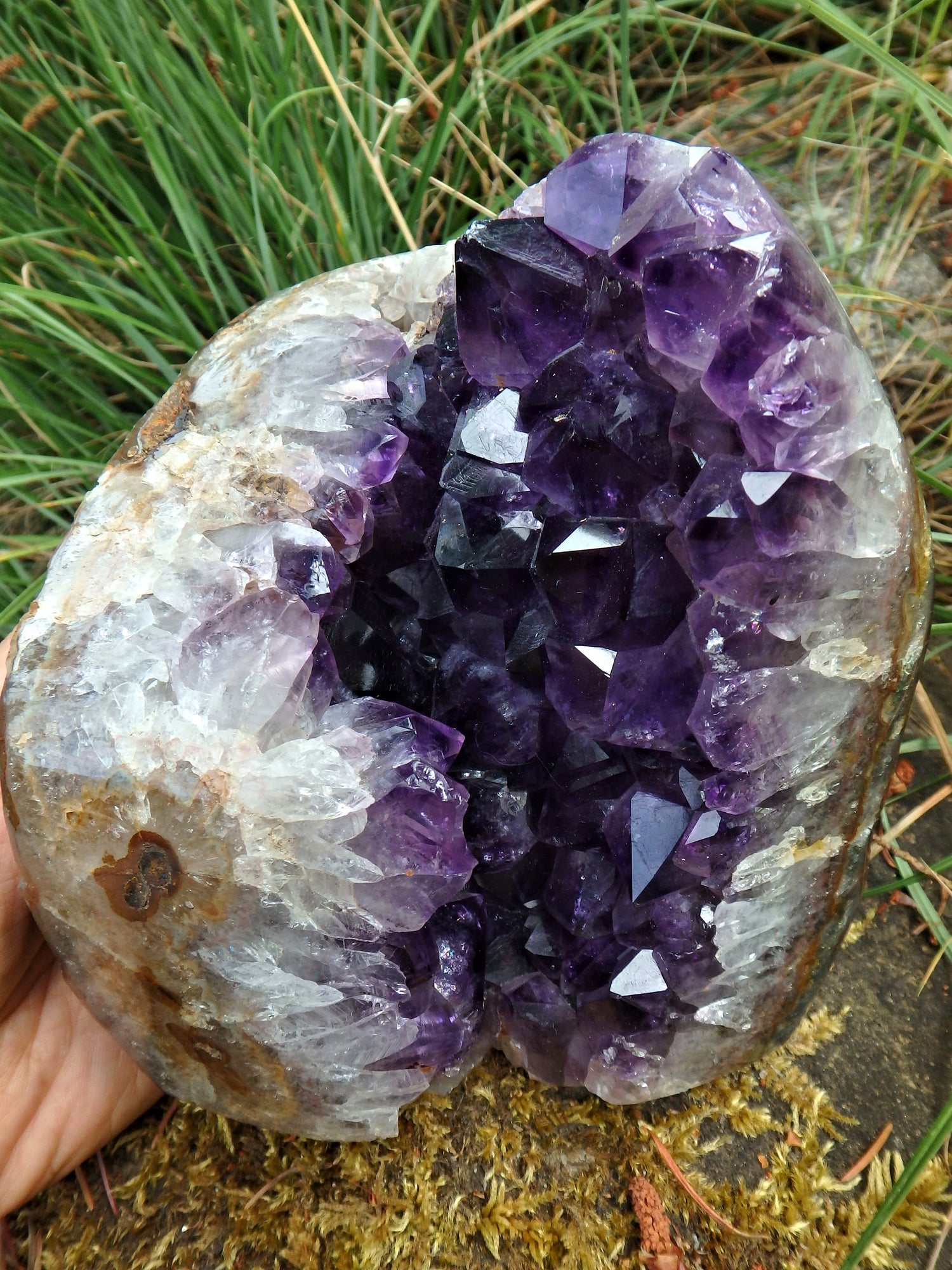 Incredible XL Deep Purple Amethyst Geode Display Specimen From Uruguay - Metiz Tier Price
