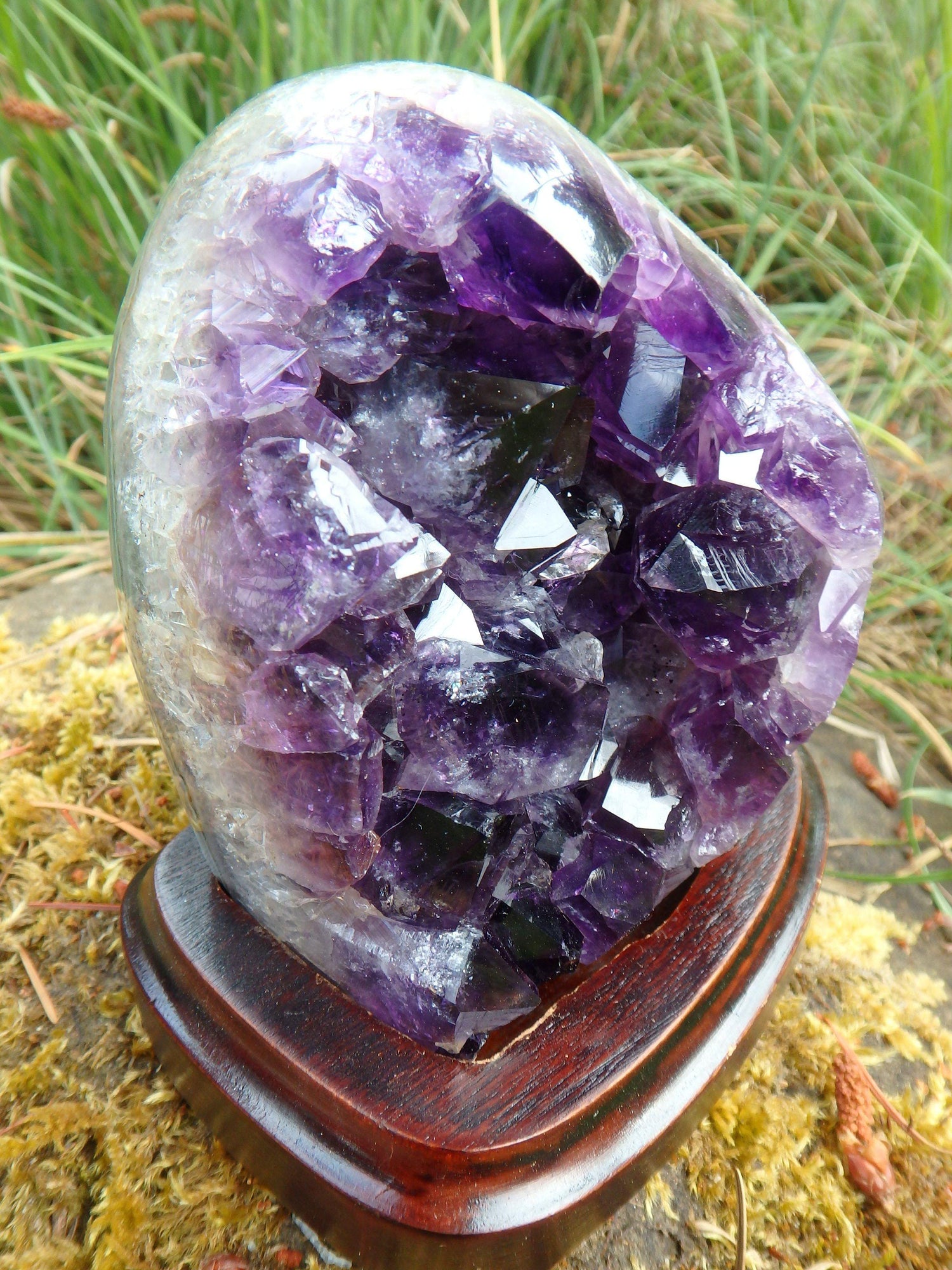  AA Grade Deep Purple Amethyst Free Form Specimen on Removable Wood Display Stand From Uruguay