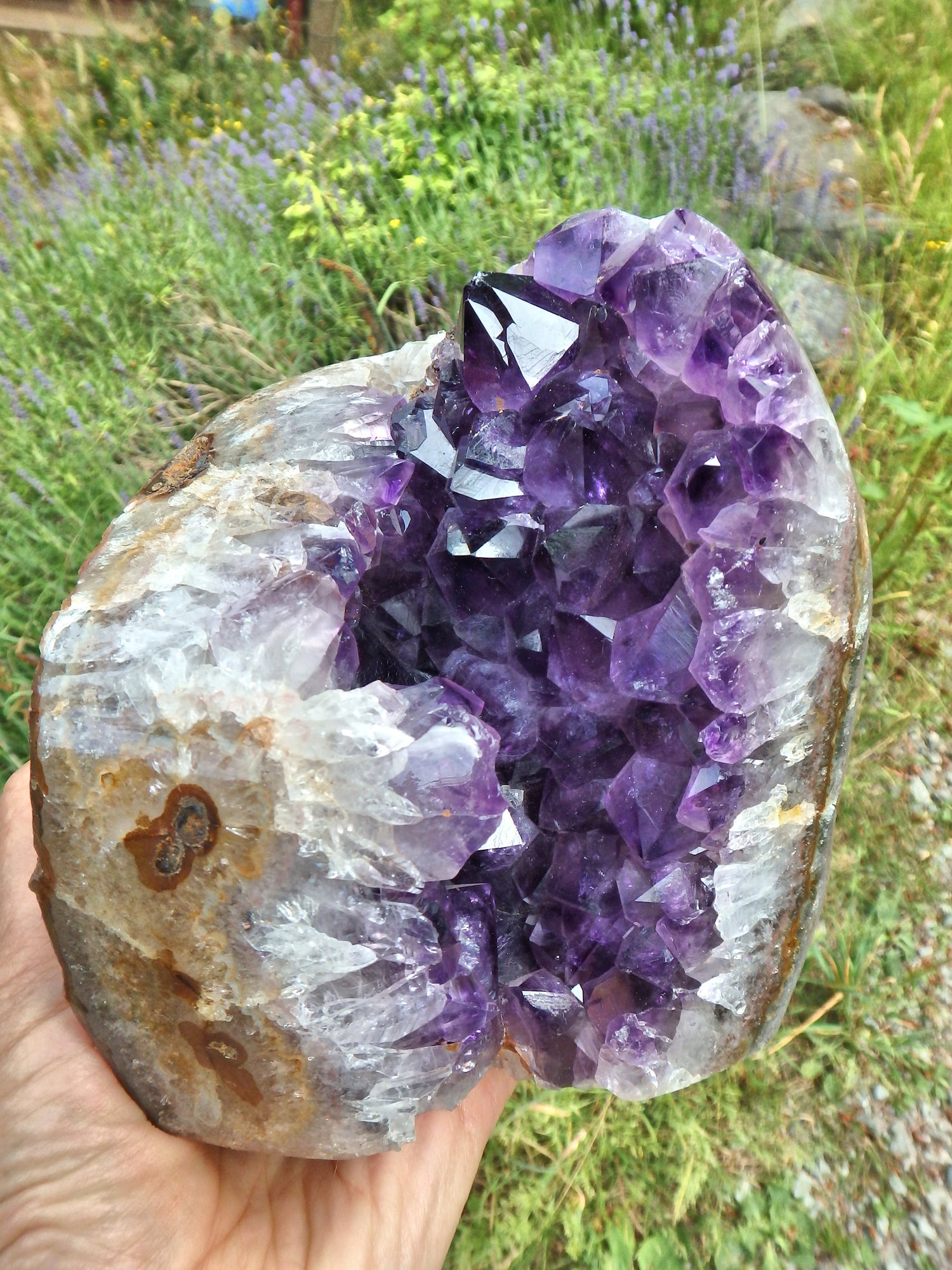 Incredible XL Deep Purple Amethyst Geode Display Specimen From Uruguay - Metiz Tier Price
