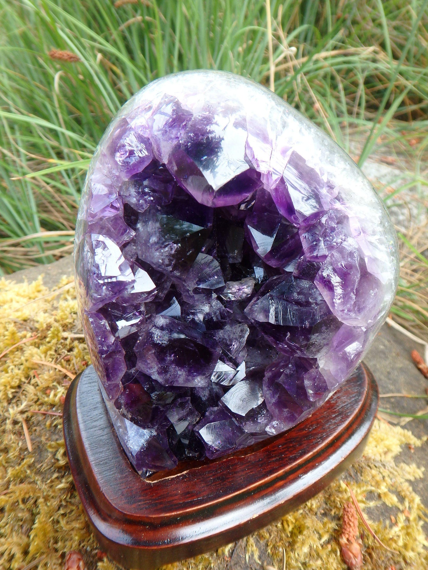  AA Grade Deep Purple Amethyst Free Form Specimen on Removable Wood Display Stand From Uruguay