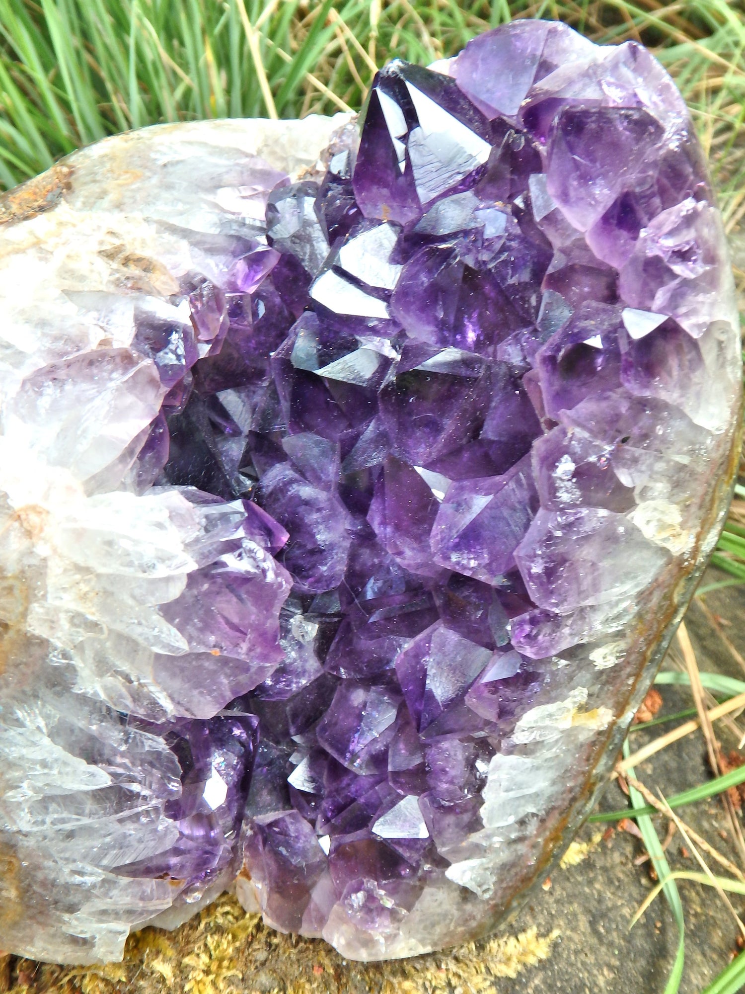 Incredible XL Deep Purple Amethyst Geode Display Specimen From Uruguay - Metiz Tier Price