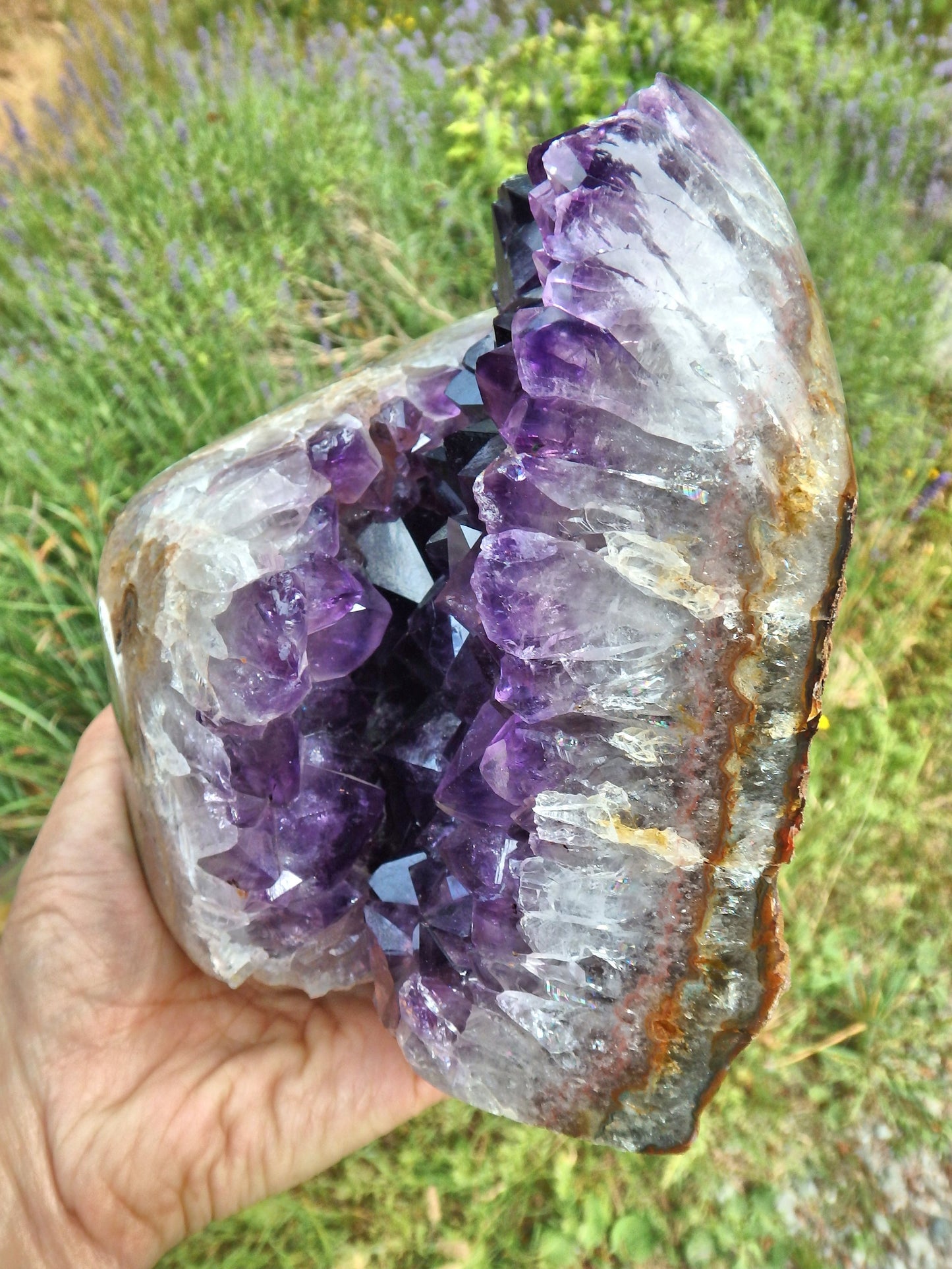 Incredible XL Deep Purple Amethyst Geode Display Specimen From Uruguay - Metiz Tier Price