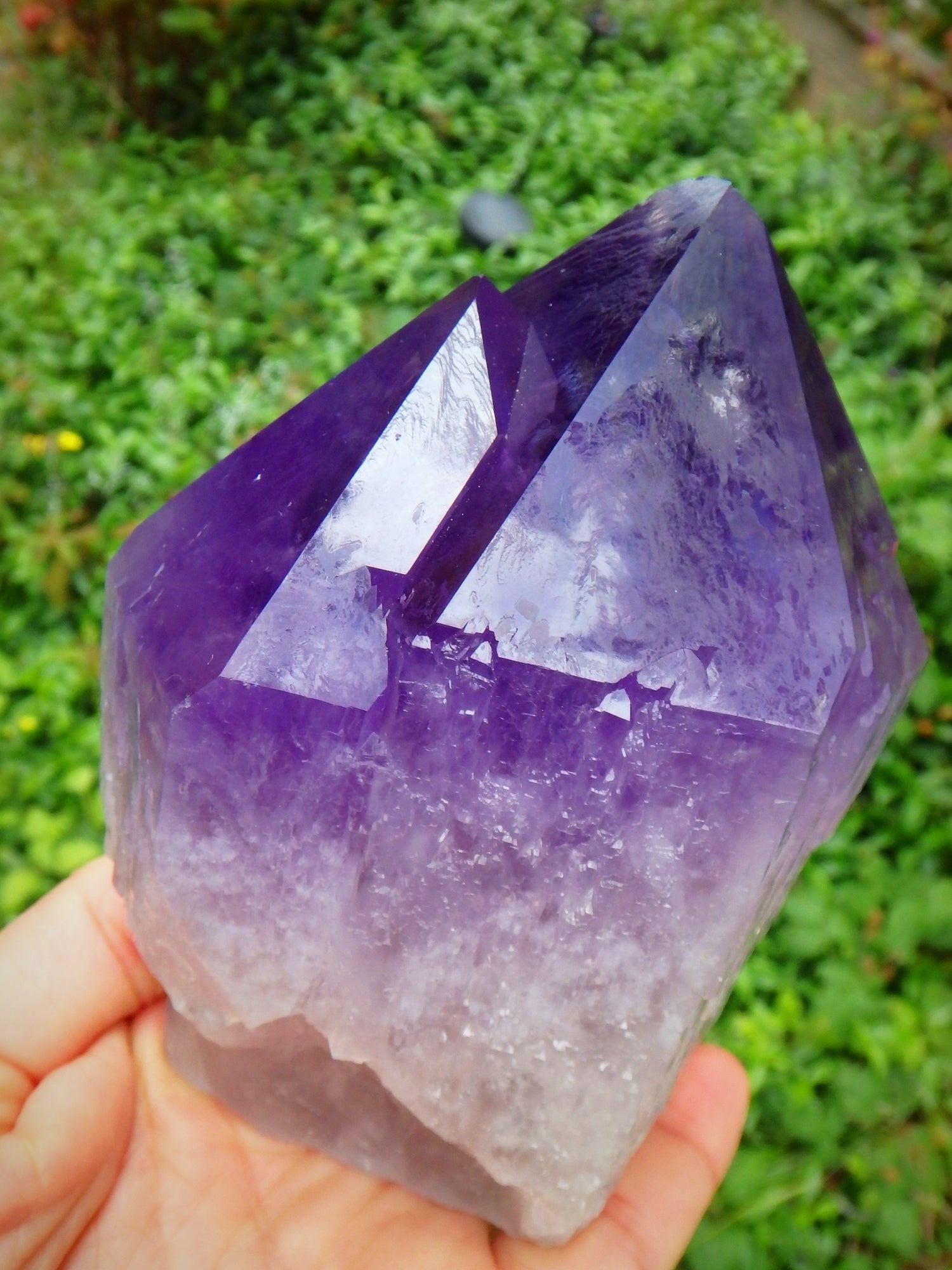 Incredible Twin Peak Bolivian Elestial Cathedral Ametrine Unpolished Standing Display Point 1 - Metiz Tier Price