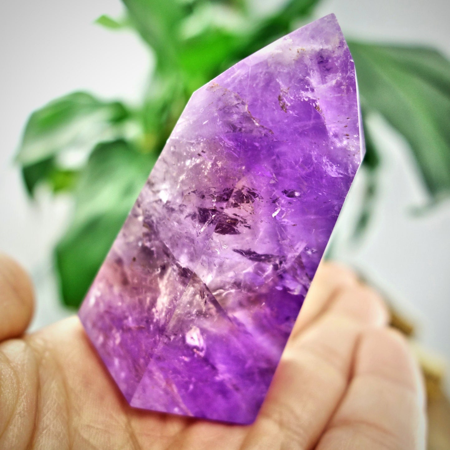  Brilliant Ametrine Generator Standing Display Specimen From Brazil 2
