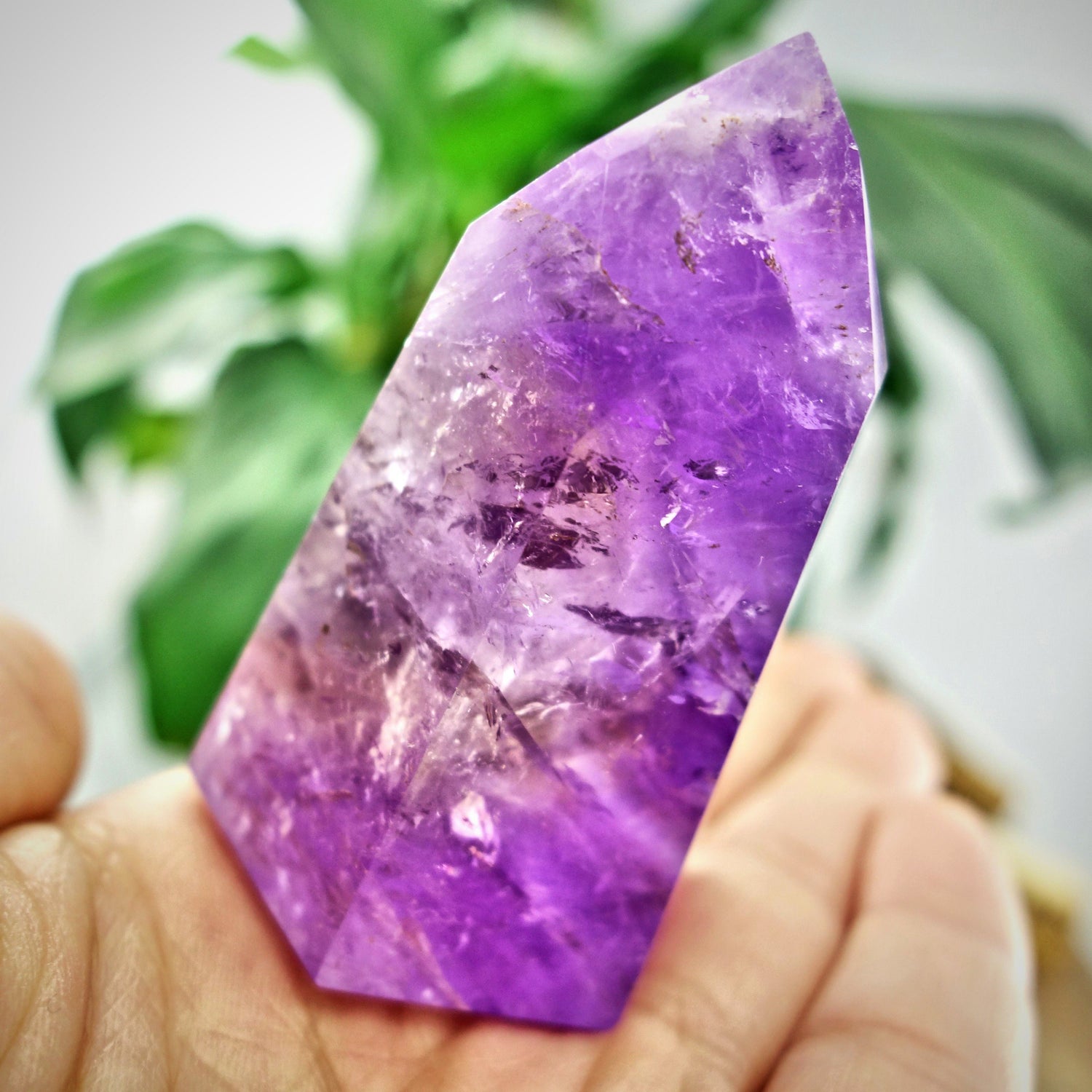  Brilliant Ametrine Generator Standing Display Specimen From Brazil 2