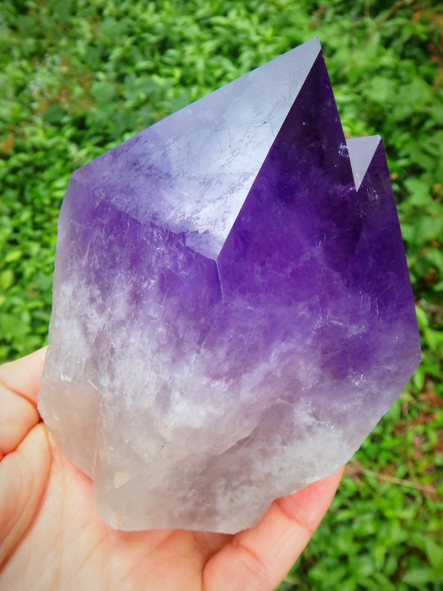 Incredible Twin Peak Bolivian Elestial Cathedral Ametrine Unpolished Standing Display Point 1 - Metiz Tier Price