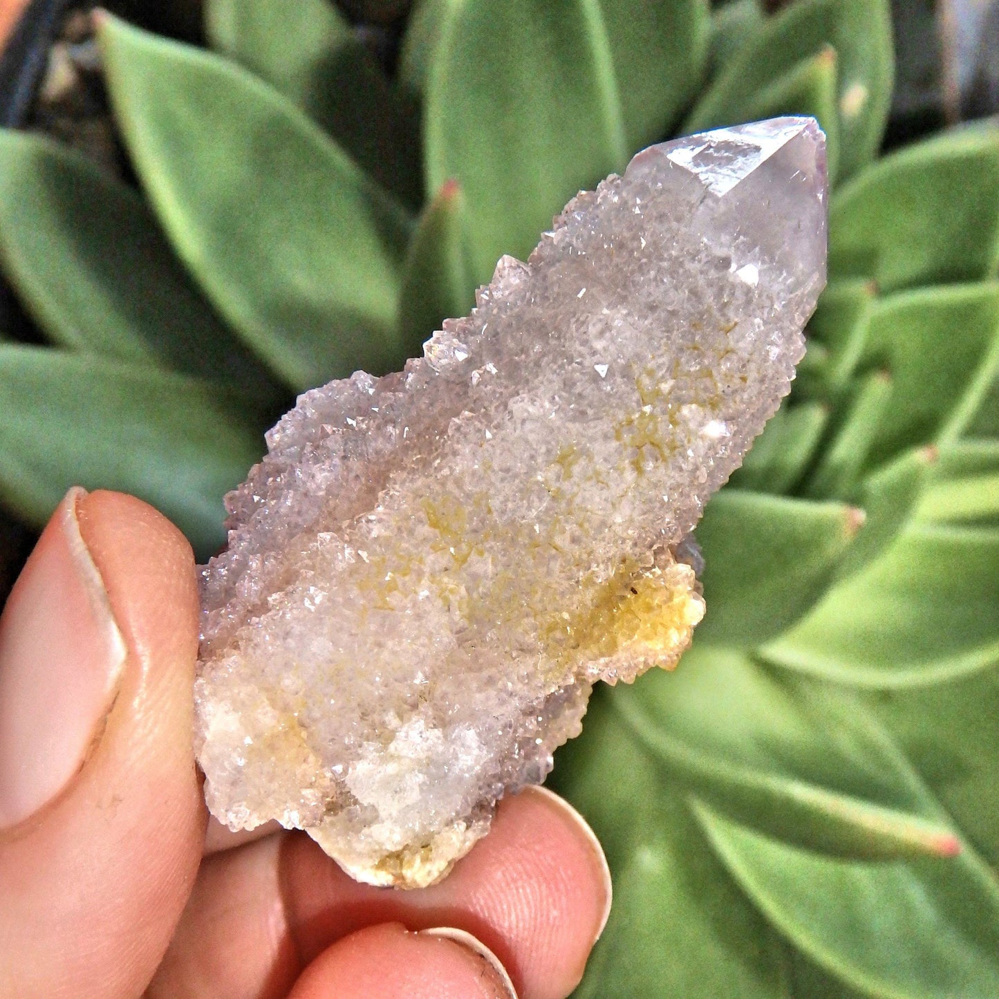  Cute Natural Ametrine Spirit Quartz Point~ Perfect For Crafting