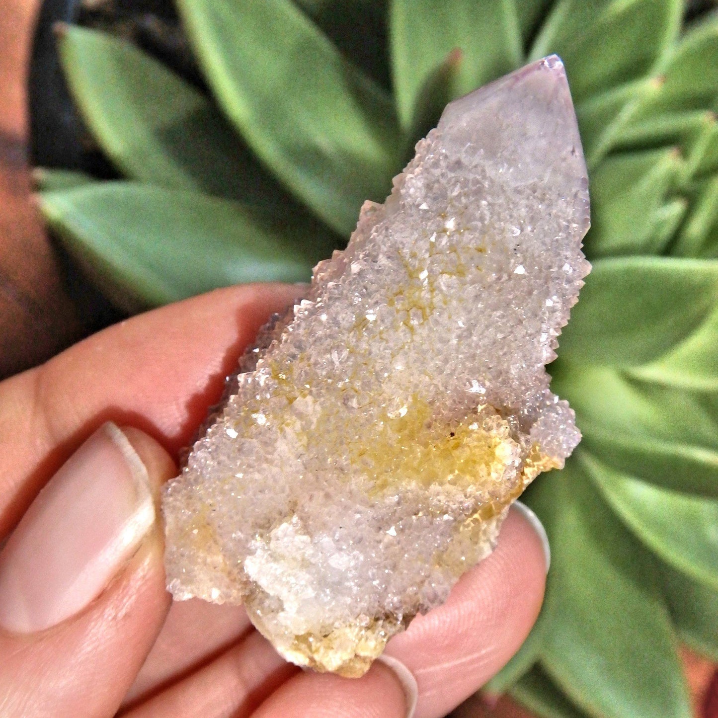  Cute Natural Ametrine Spirit Quartz Point~ Perfect For Crafting