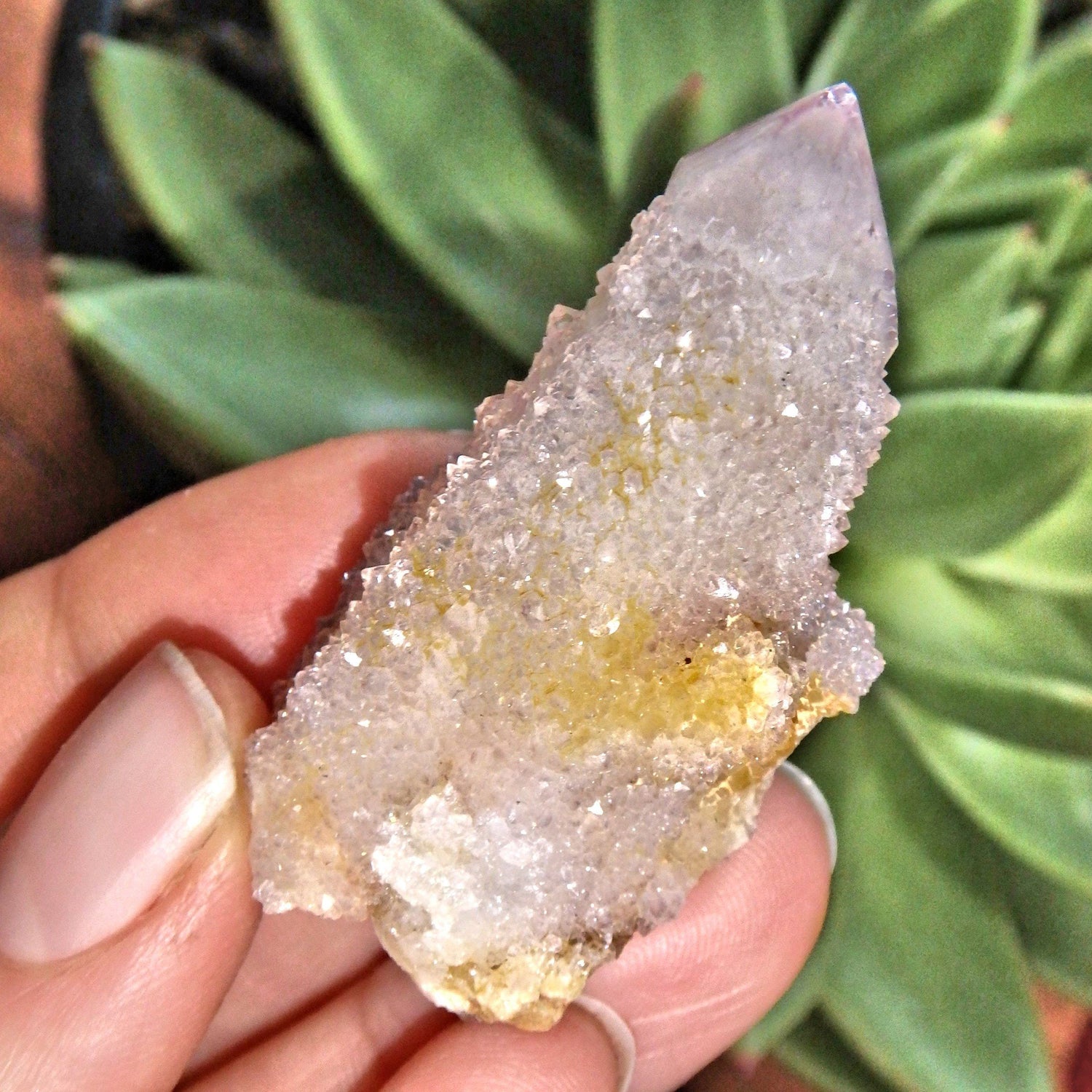  Cute Natural Ametrine Spirit Quartz Point~ Perfect For Crafting
