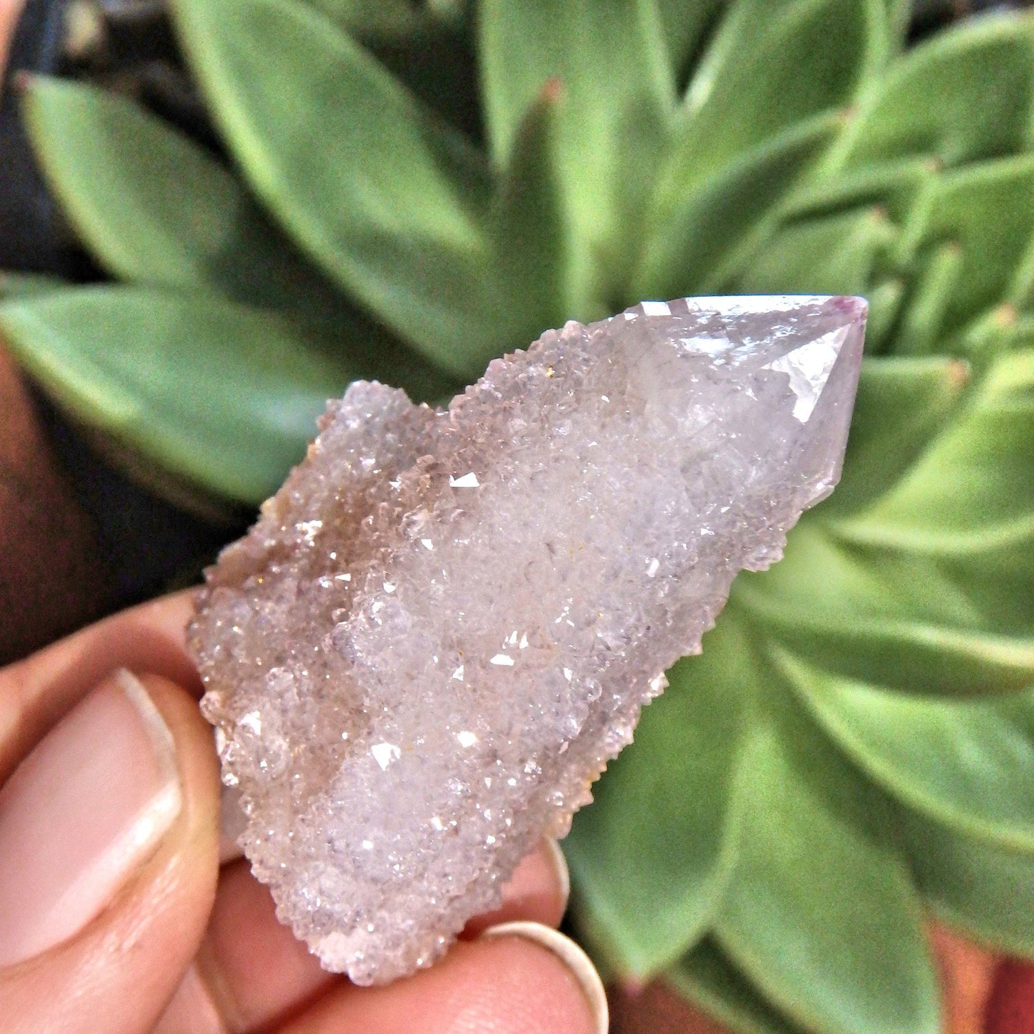  Cute Natural Ametrine Spirit Quartz Point~ Perfect For Crafting