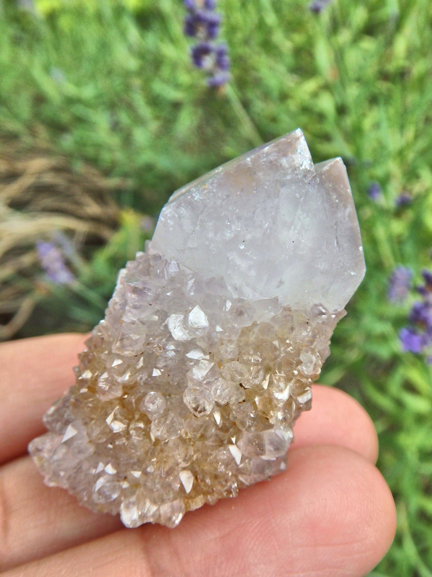  Cute Sparkly Ametrine Spirit Quartz Point Specimen3
