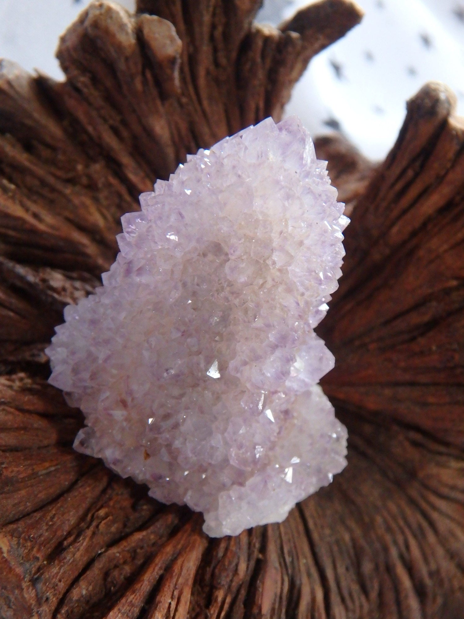 Cute Handheld Ametrine Spirit Quartz Point From South Africa