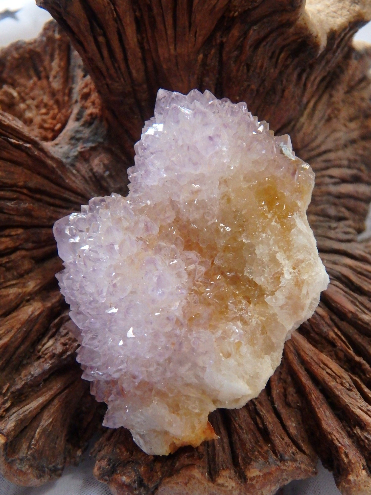  Cute Handheld Ametrine Spirit Quartz Cluster From South Africa