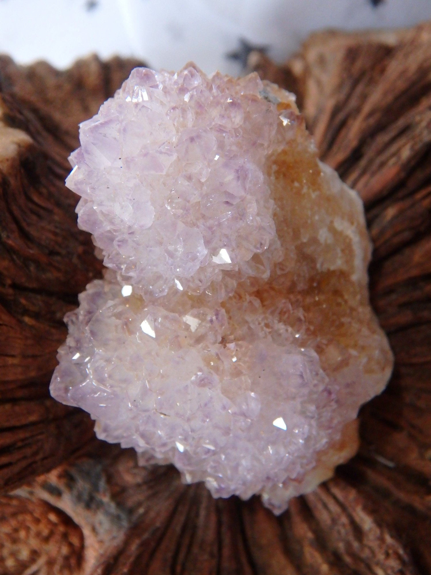  Cute Handheld Ametrine Spirit Quartz Cluster From South Africa