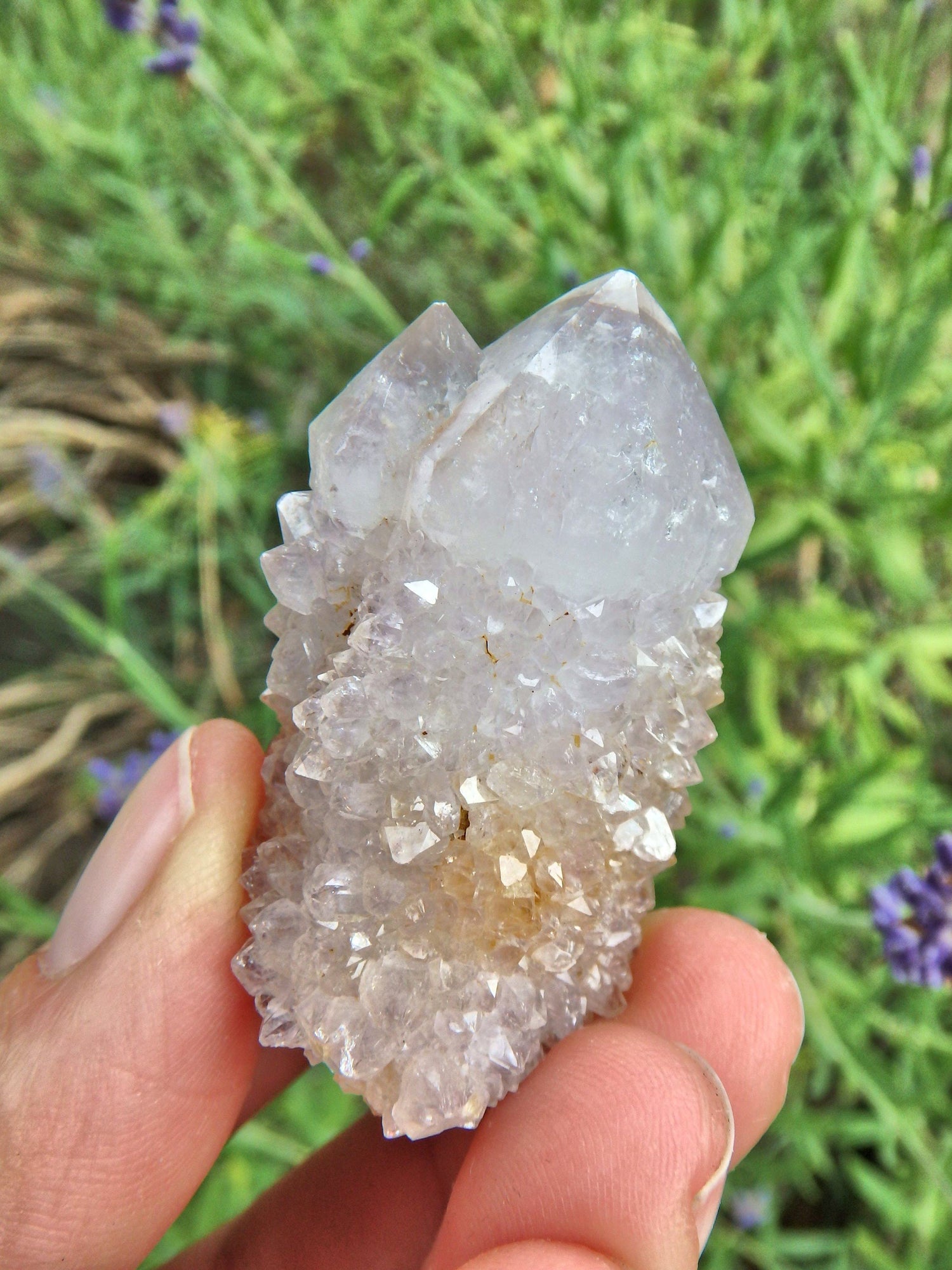  Cute Sparkly Ametrine Spirit Quartz Point Specimen3
