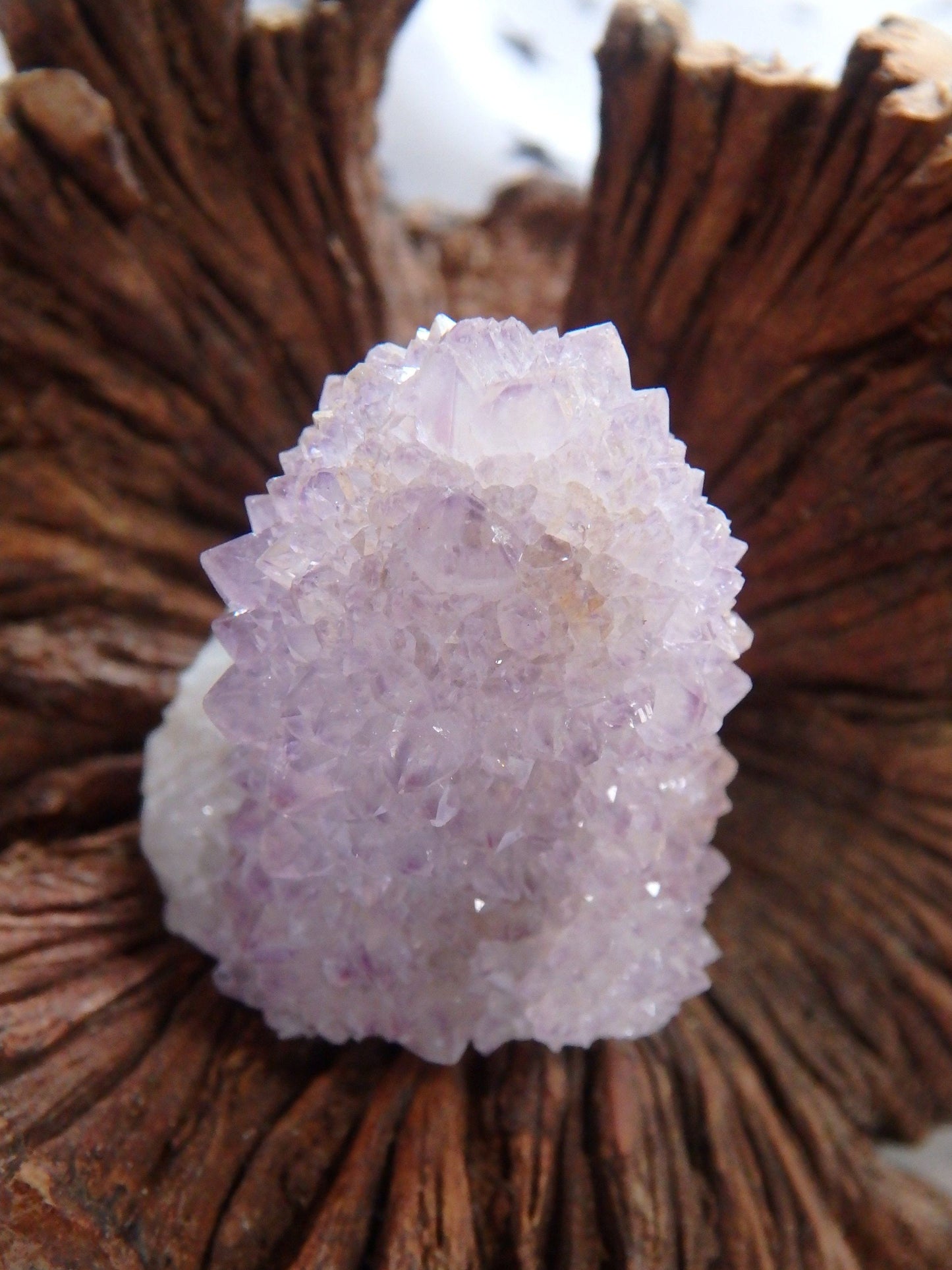  Cute Handheld Ametrine Spirit Quartz Point From South Africa