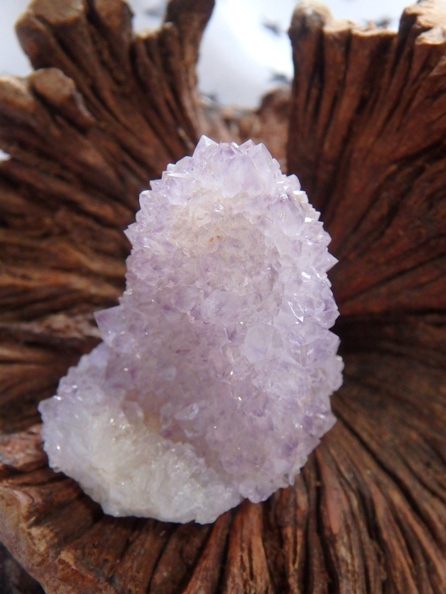  Cute Handheld Ametrine Spirit Quartz Point From South Africa
