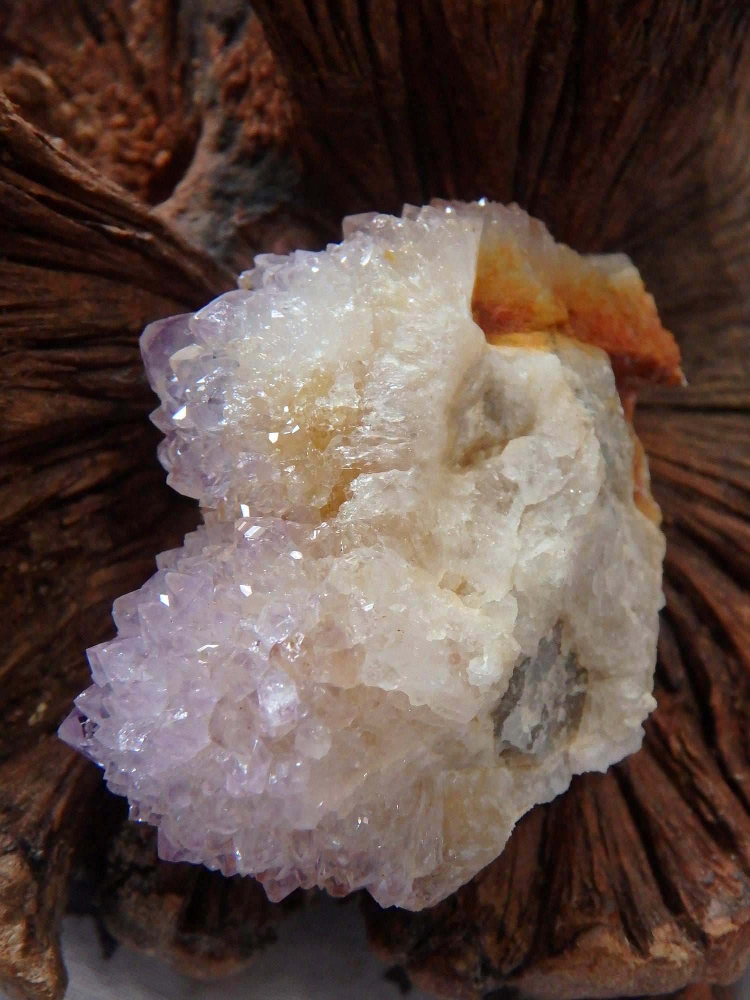  Cute Handheld Ametrine Spirit Quartz Cluster From South Africa