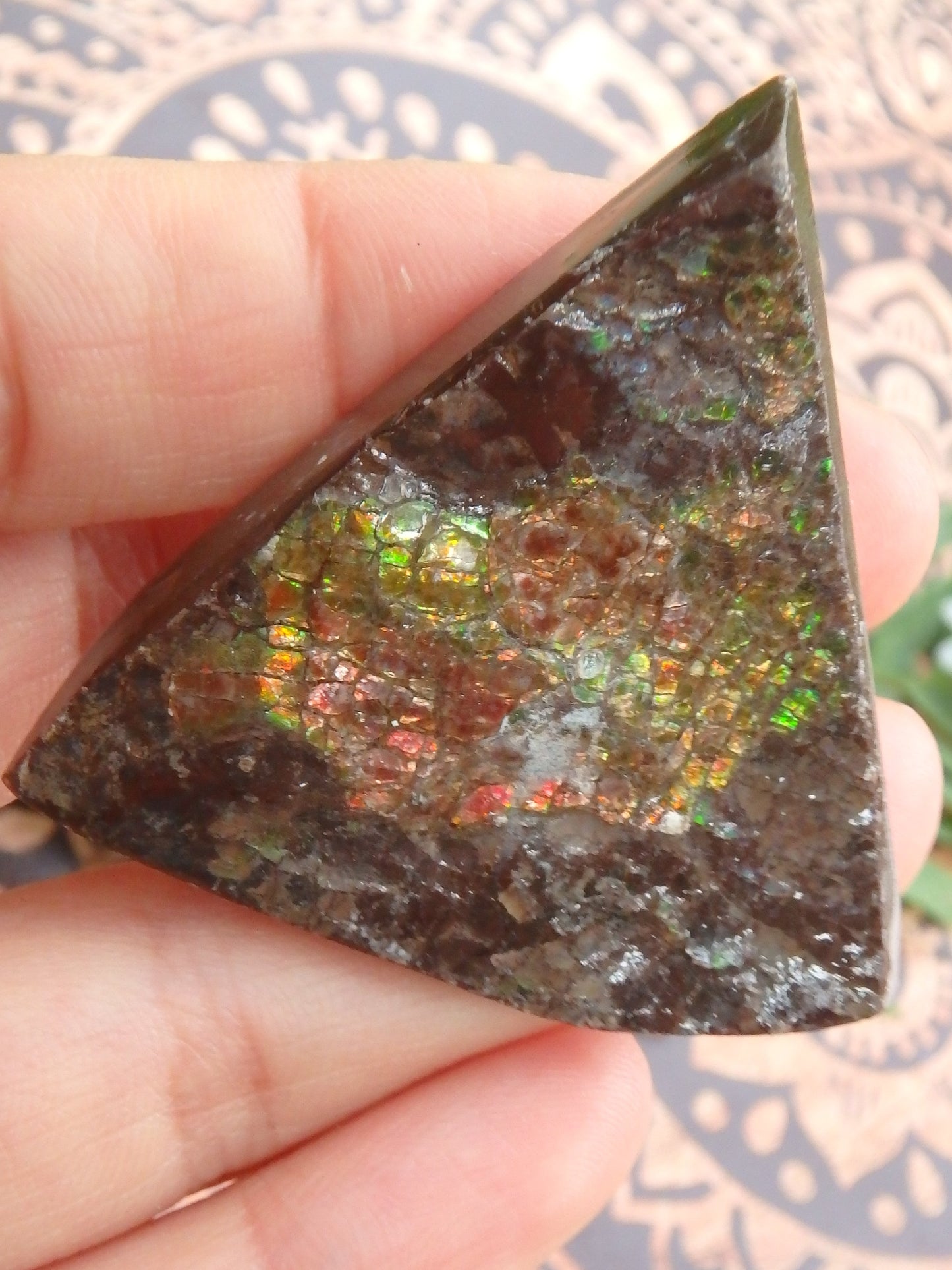 Shimmering Flashes Alberta Ammolite on Matrix Specimen - Metiz Tier Price