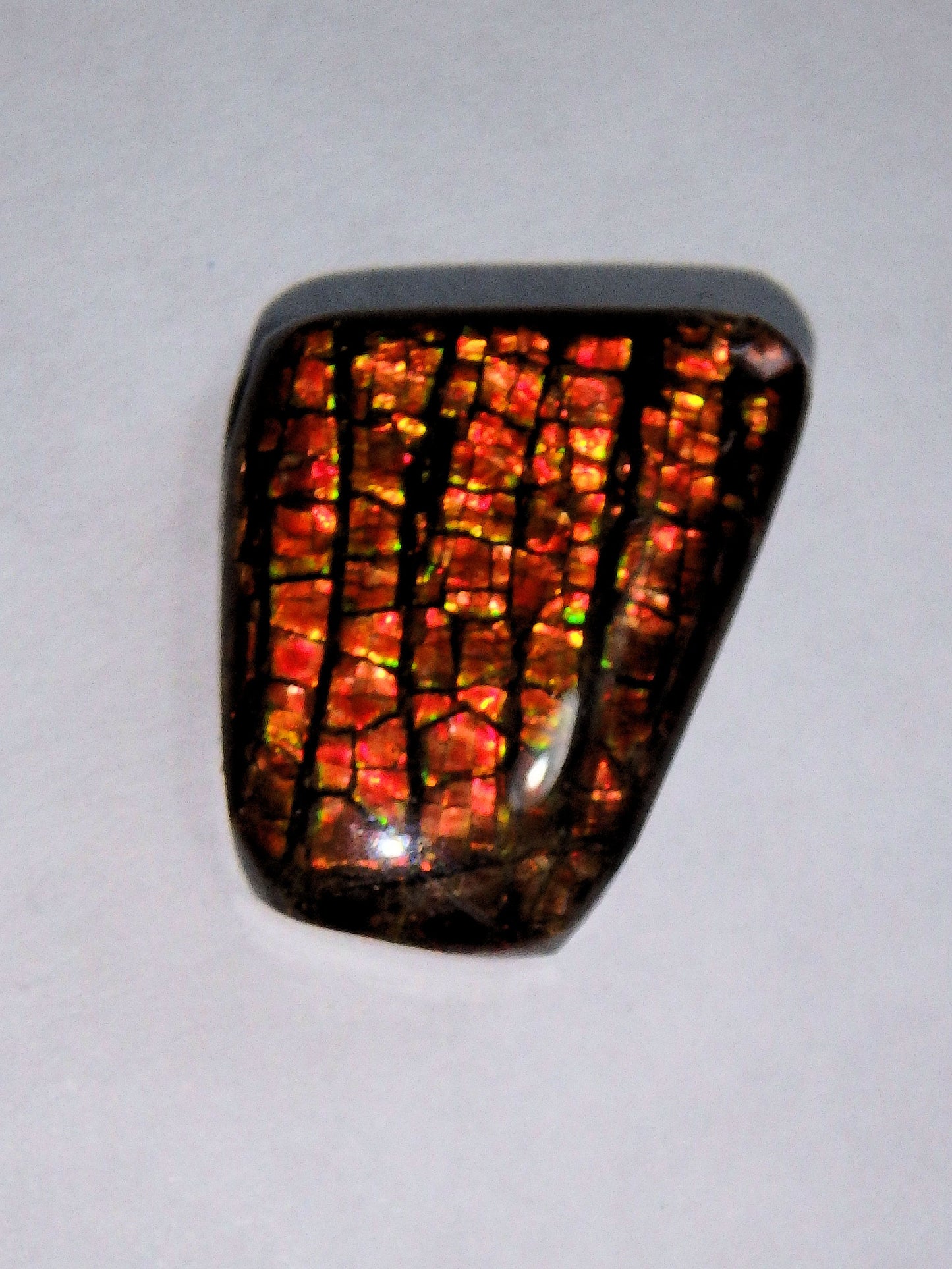Multi Sparkle Alberta Ammolite Fossil Shell Cabochon Free Form (Ideal for Jewelry Making) 2 - Earth Family Crystals