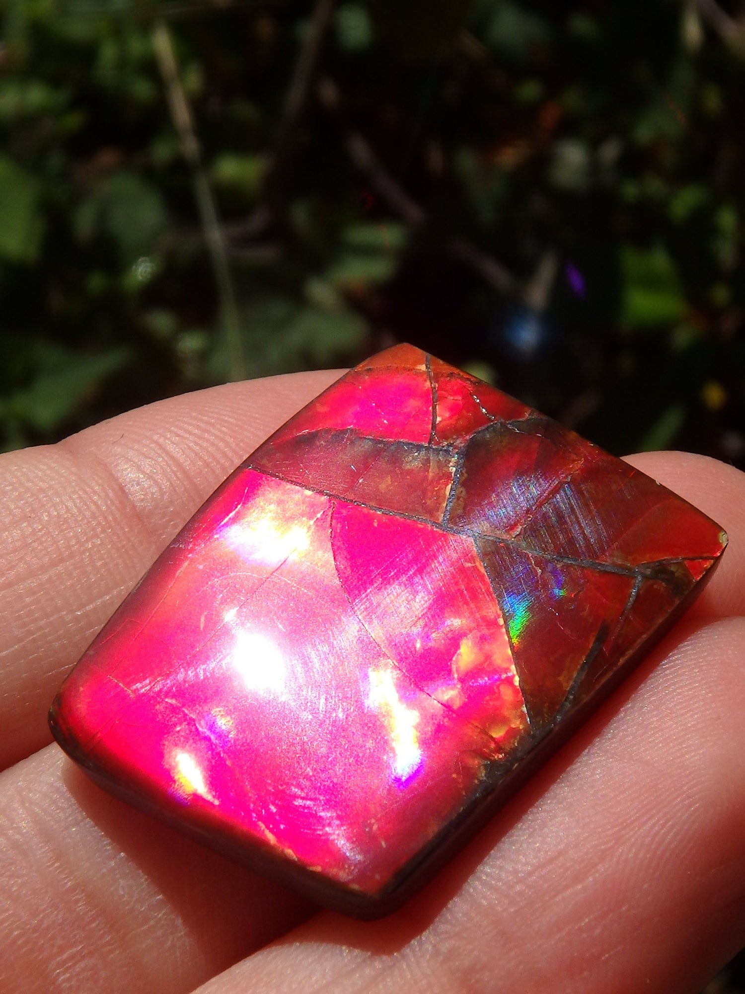 Incredible Solid Red Flash Alberta Ammolite Cabochon~Ideal for Jewellery Making! - Metiz Tier Price