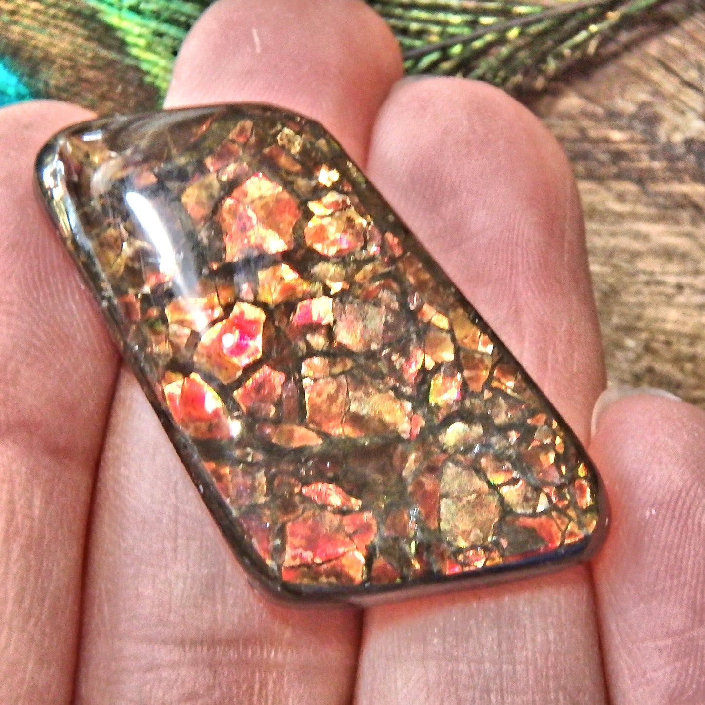 Moving Fiery Red Flashes Alberta Ammolite Cabochon Ideal for Crafting - Earth Family Crystals