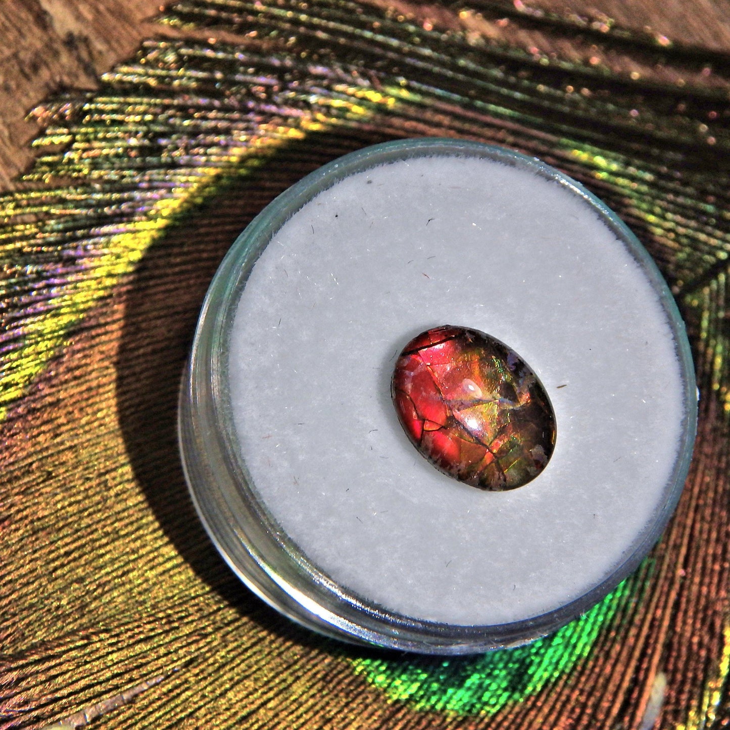  Dainty Ammolite Quartz Capped Cabochon Perfect for Crafting 1