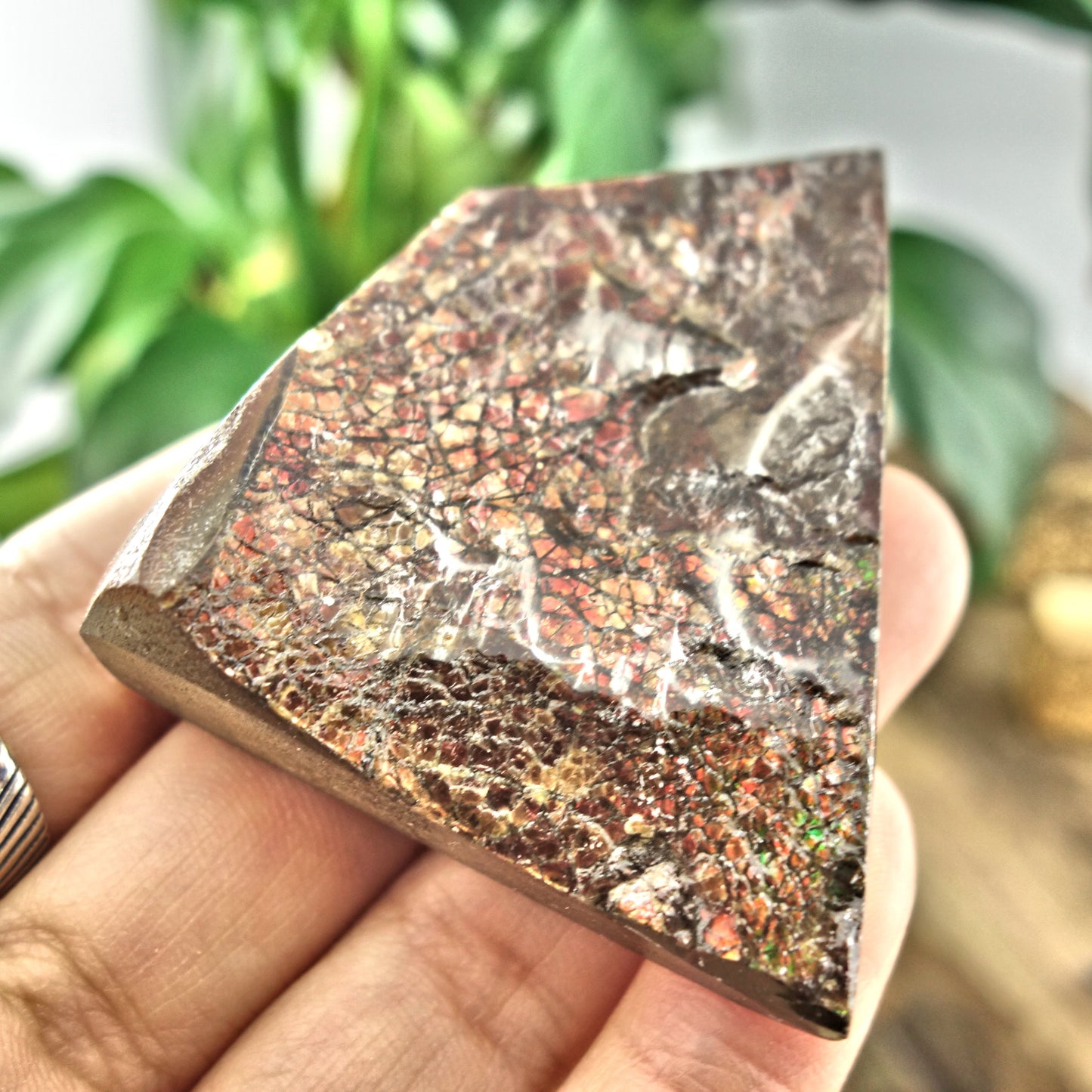 Fire Red Flash Alberta Ammolite Chunky Hand Held Specimen - Earth Family Crystals