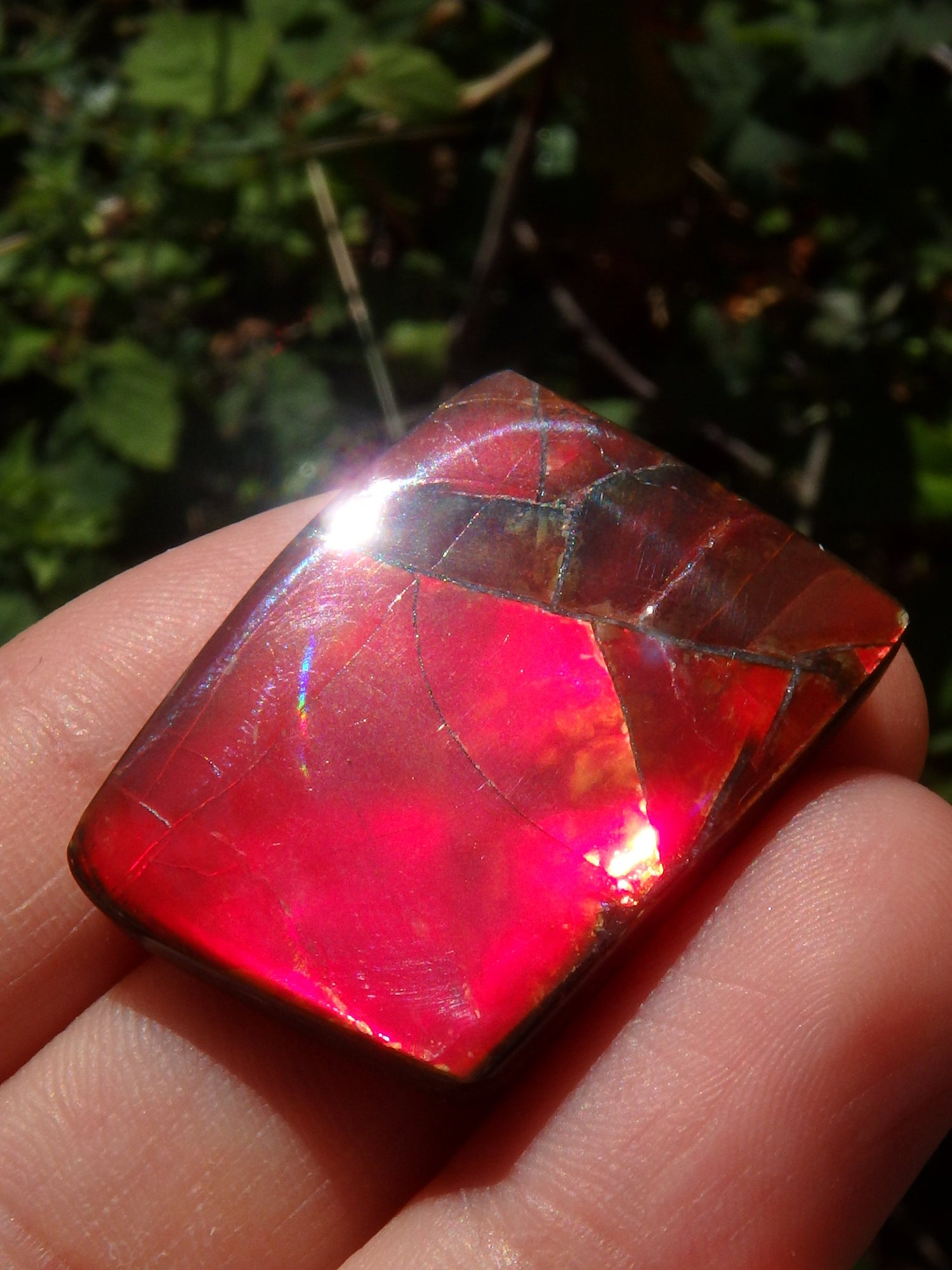 Incredible Solid Red Flash Alberta Ammolite Cabochon~Ideal for Jewellery Making! - Metiz Tier Price
