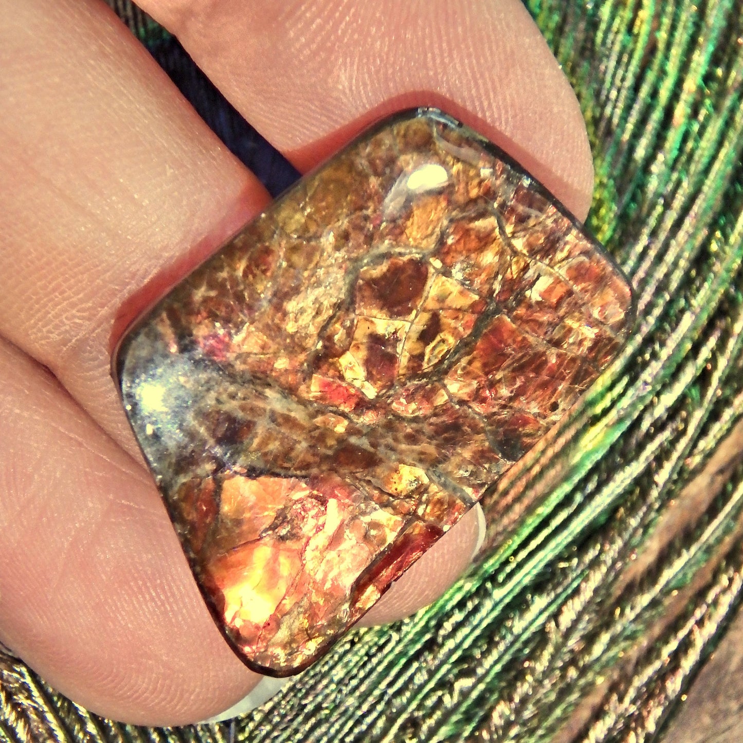  Golden & Red Flashes Alberta Ammolite Cabochon Ideal for Crafting Default Title - Earth Family Crystals