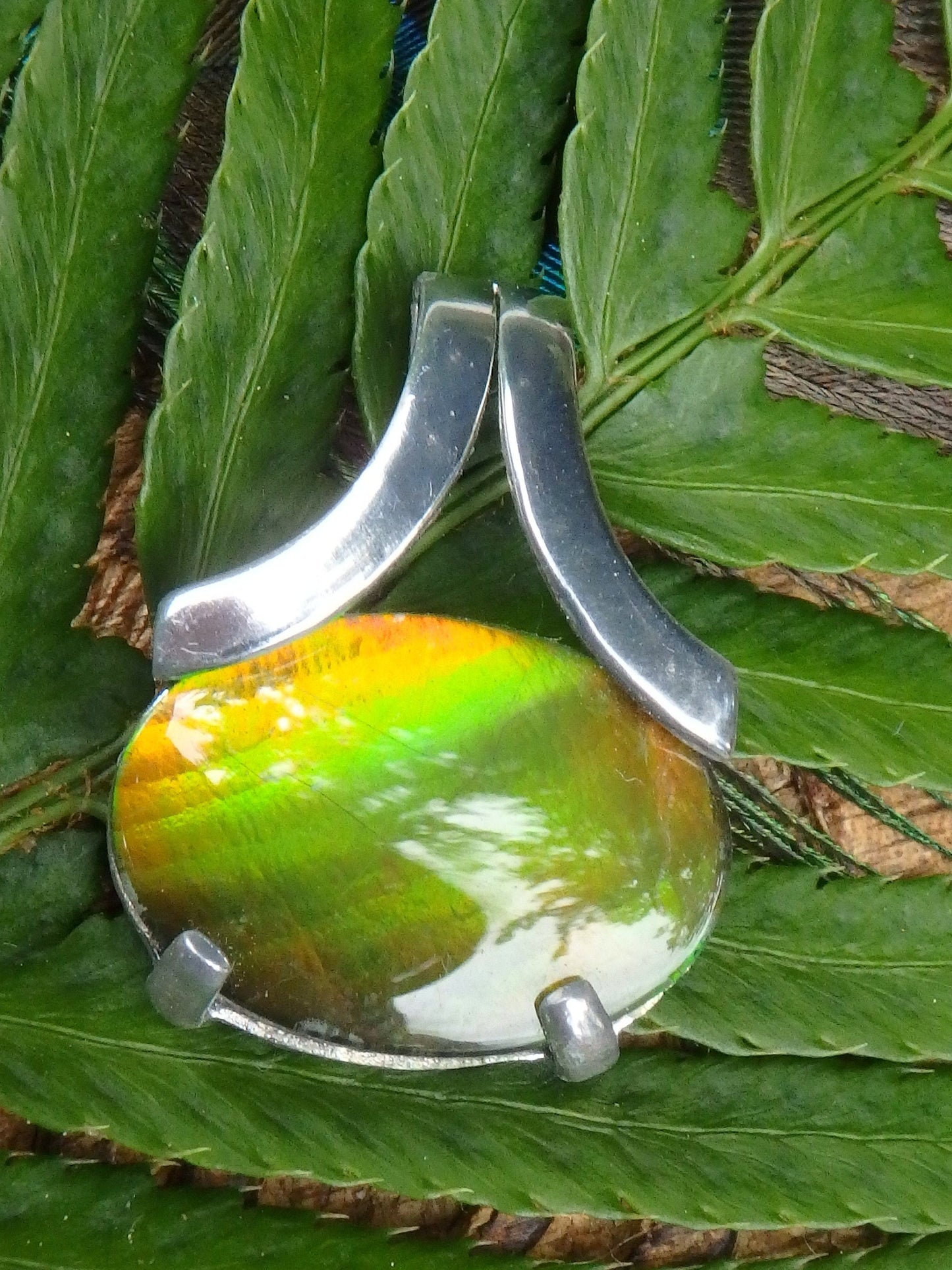  Beautiful Green & Golden Flash Quartz Capped Alberta Ammolite Pendant In Sterling Silver (Includes Silver Chain)