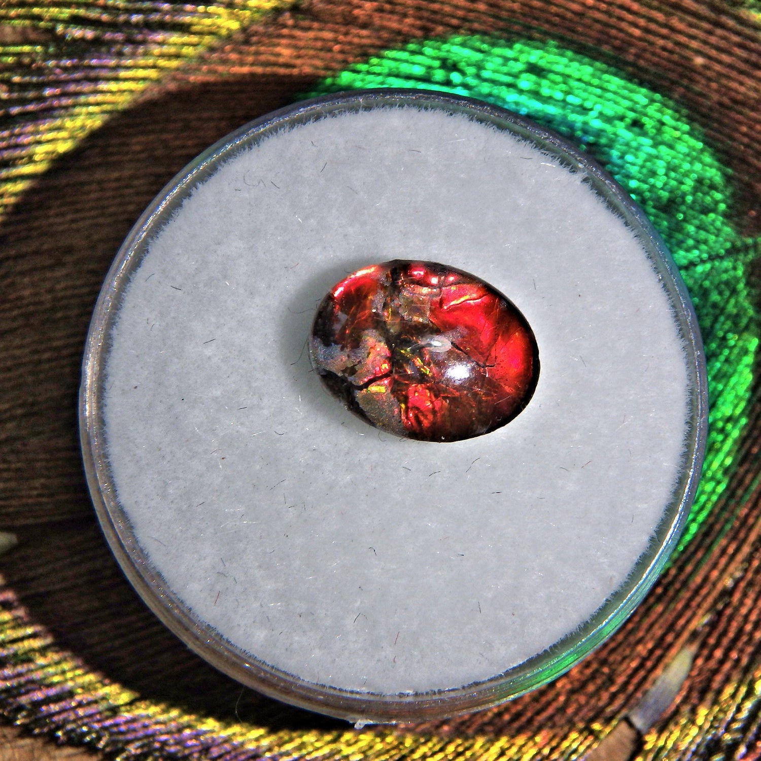  Dainty Ammolite Quartz Capped Cabochon Perfect for Crafting 2