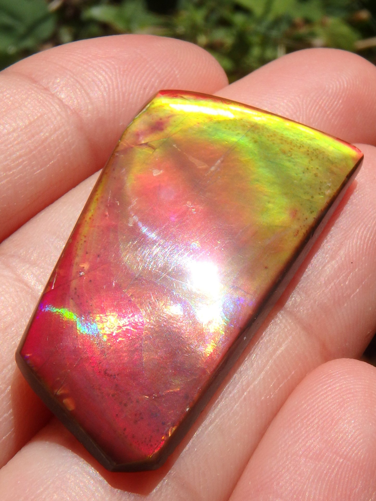 Incredible Red, Golden & Green Flash Alberta Ammolite Cabochon~Ideal for Jewellery Making! - Metiz Tier Price