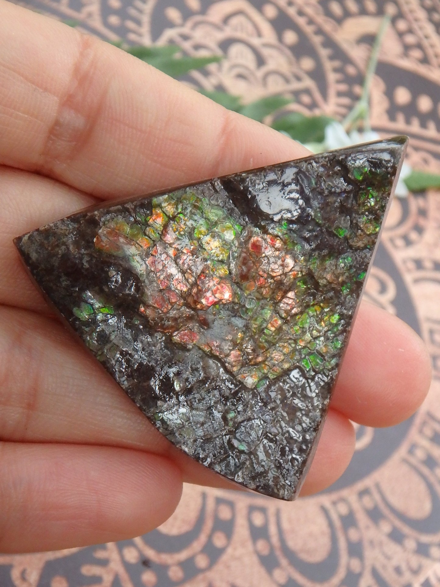 Shimmering Flashes Alberta Ammolite on Matrix Specimen - Metiz Tier Price